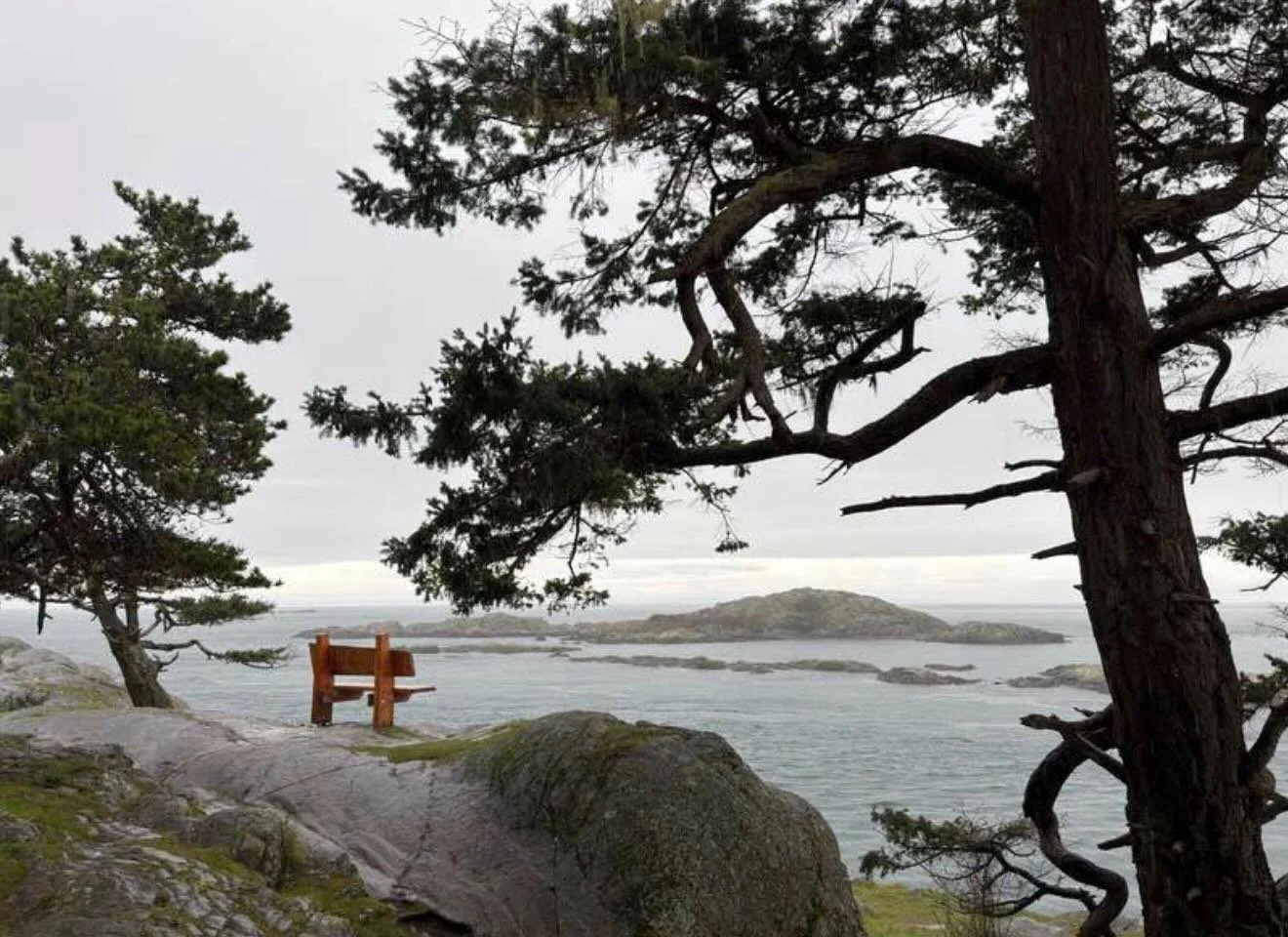 Excited to share my first publication with She Buys Travel. 

Exploring the San Juan Islands should be on everyone&rsquo;s list, especially if you live in the Pacific Northwest. Bring a book, find a bench overlooking the water and just breathe. 

Fro