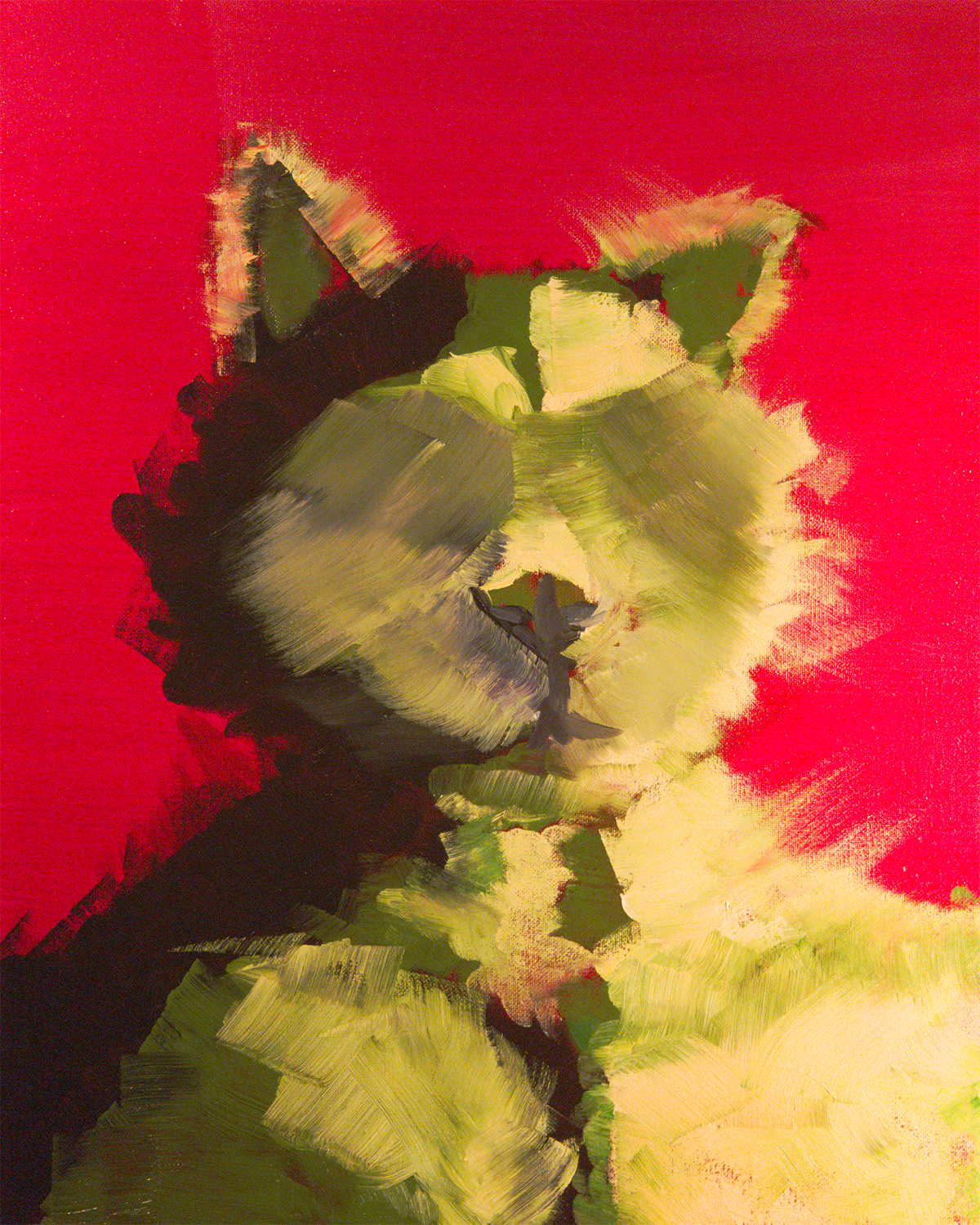 Eyeless Cat