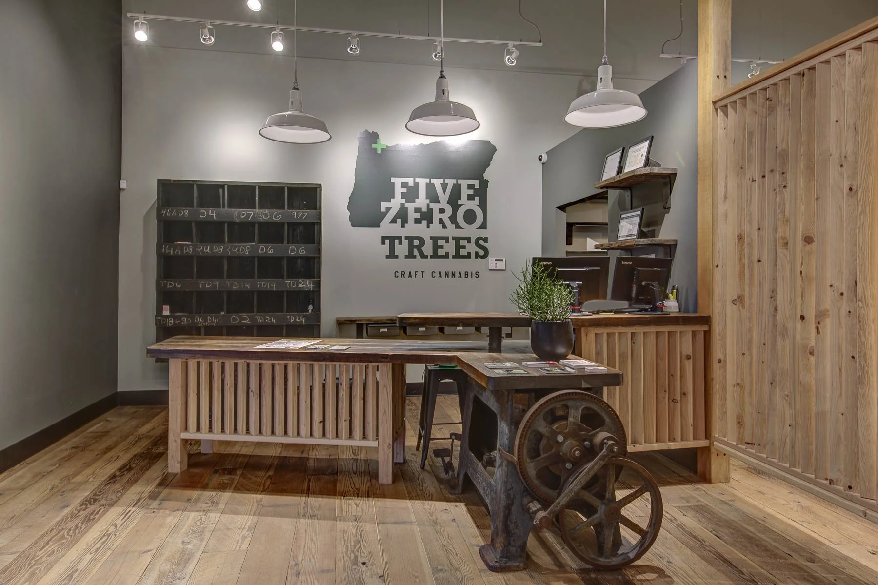 Five Zero Trees Division — Harka Architecture