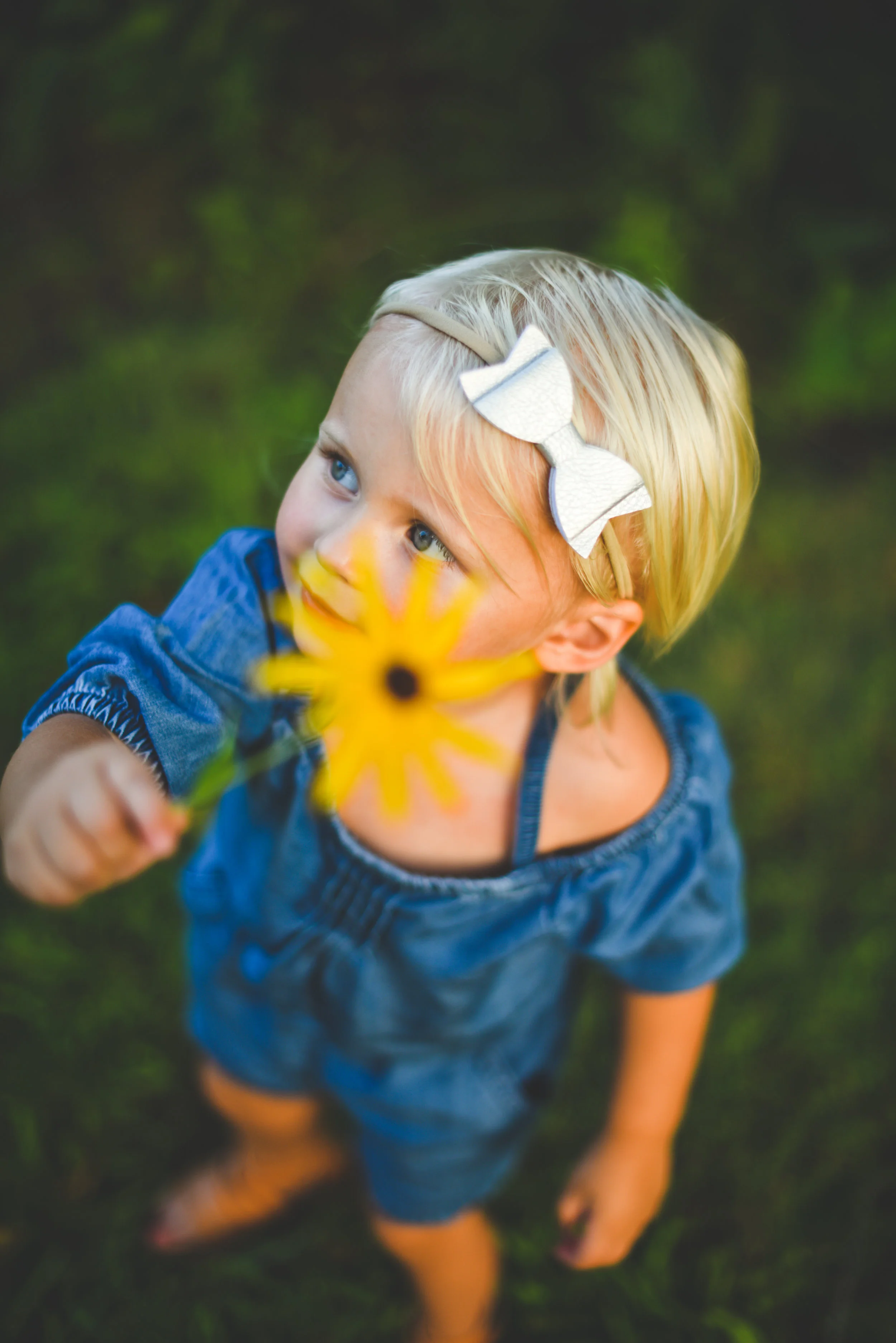 Indianapolis family photography - Stillson family