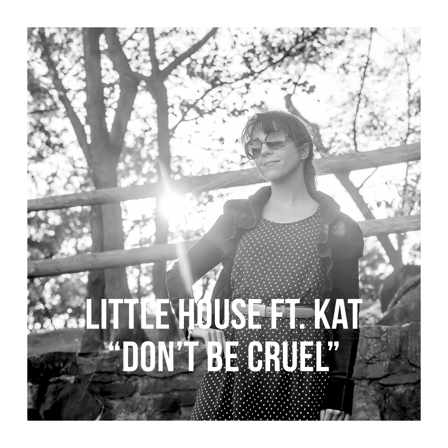 artist photo Little House ft Kat Cruel w text w border.png