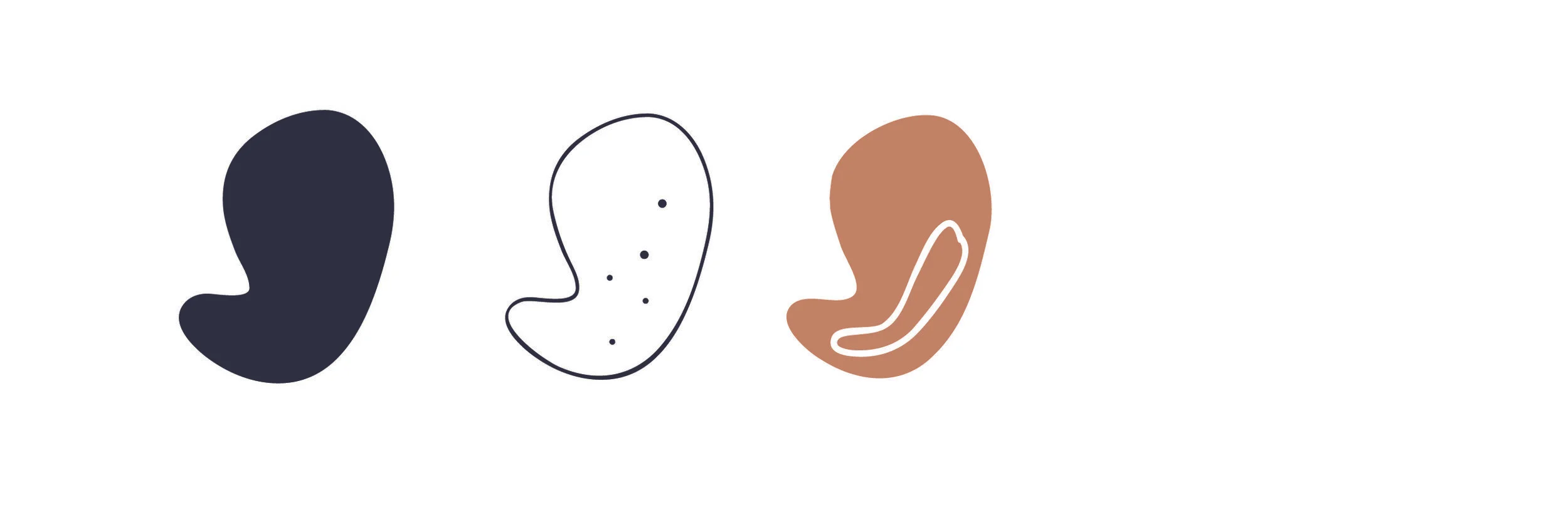 Acute cigarette smoke has a strong effect on gastric secretion in your stomach. 