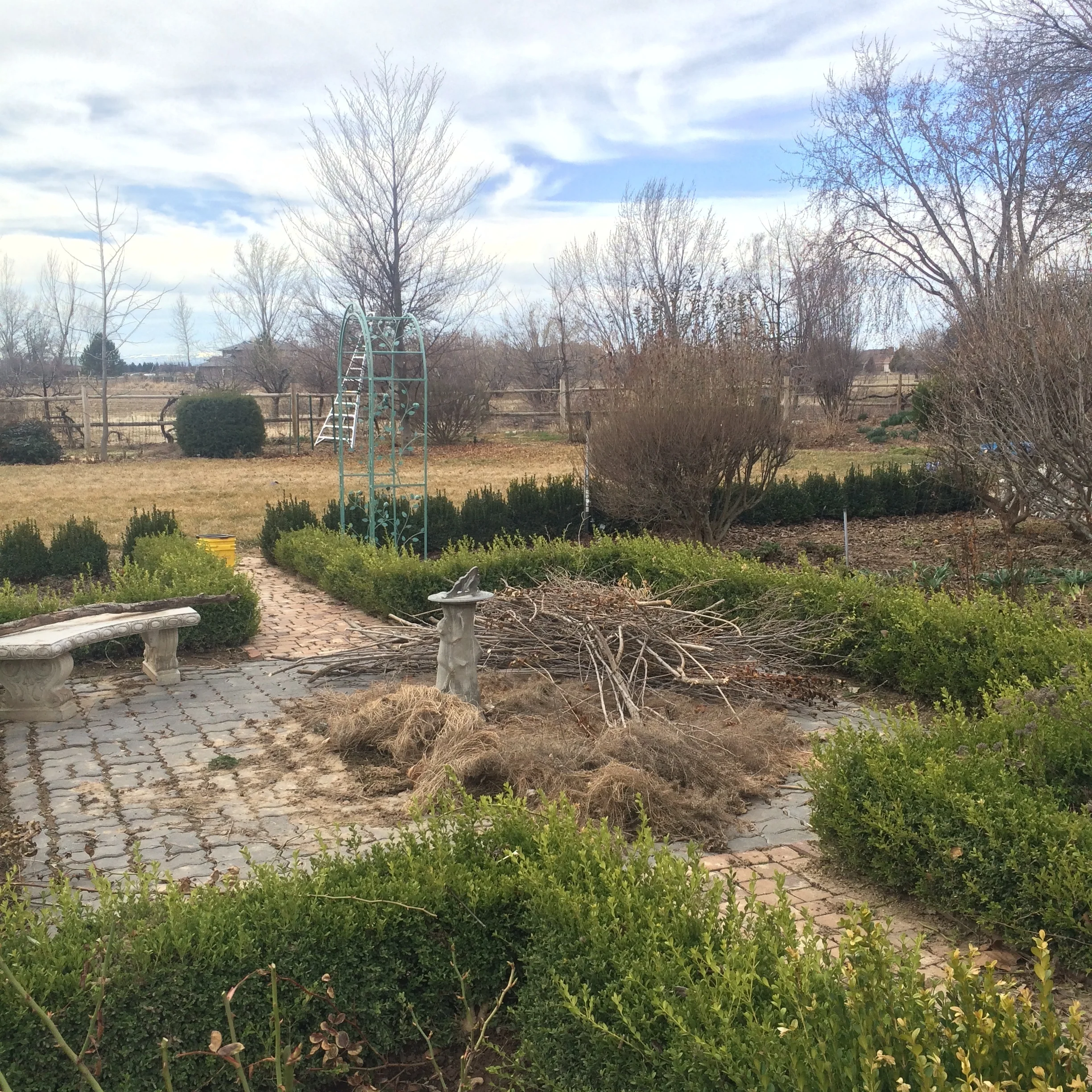 Garden copy.jpeg
