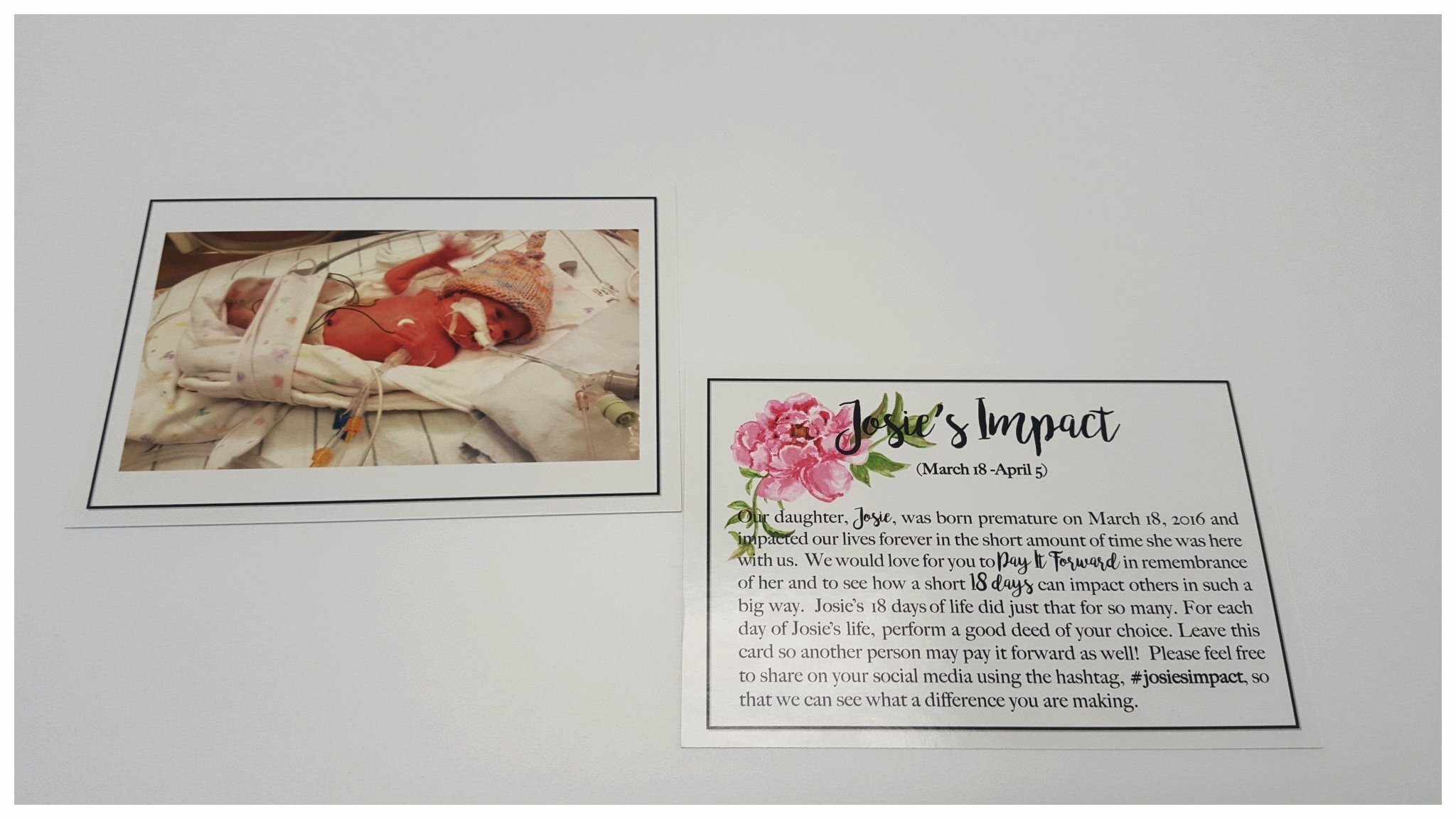 Josie's Impact cards