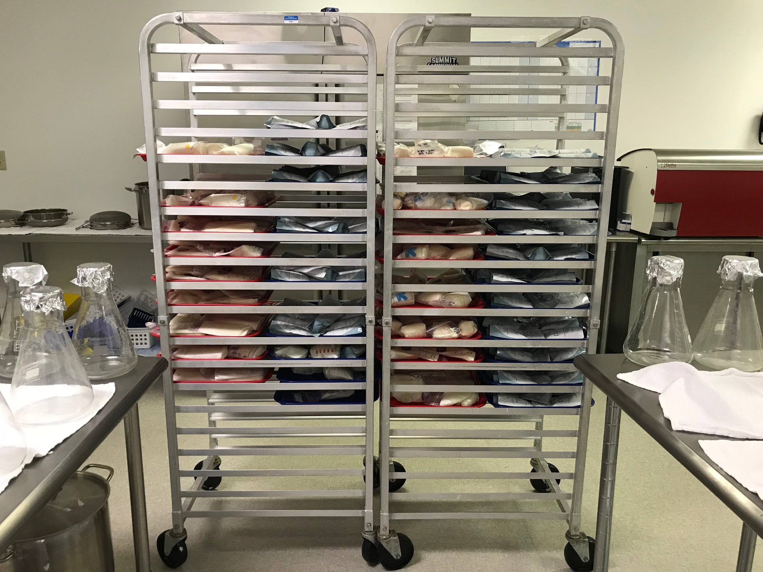 Trays of frozen donor milk are thawed in a controlled environment before flasking and analyzing.