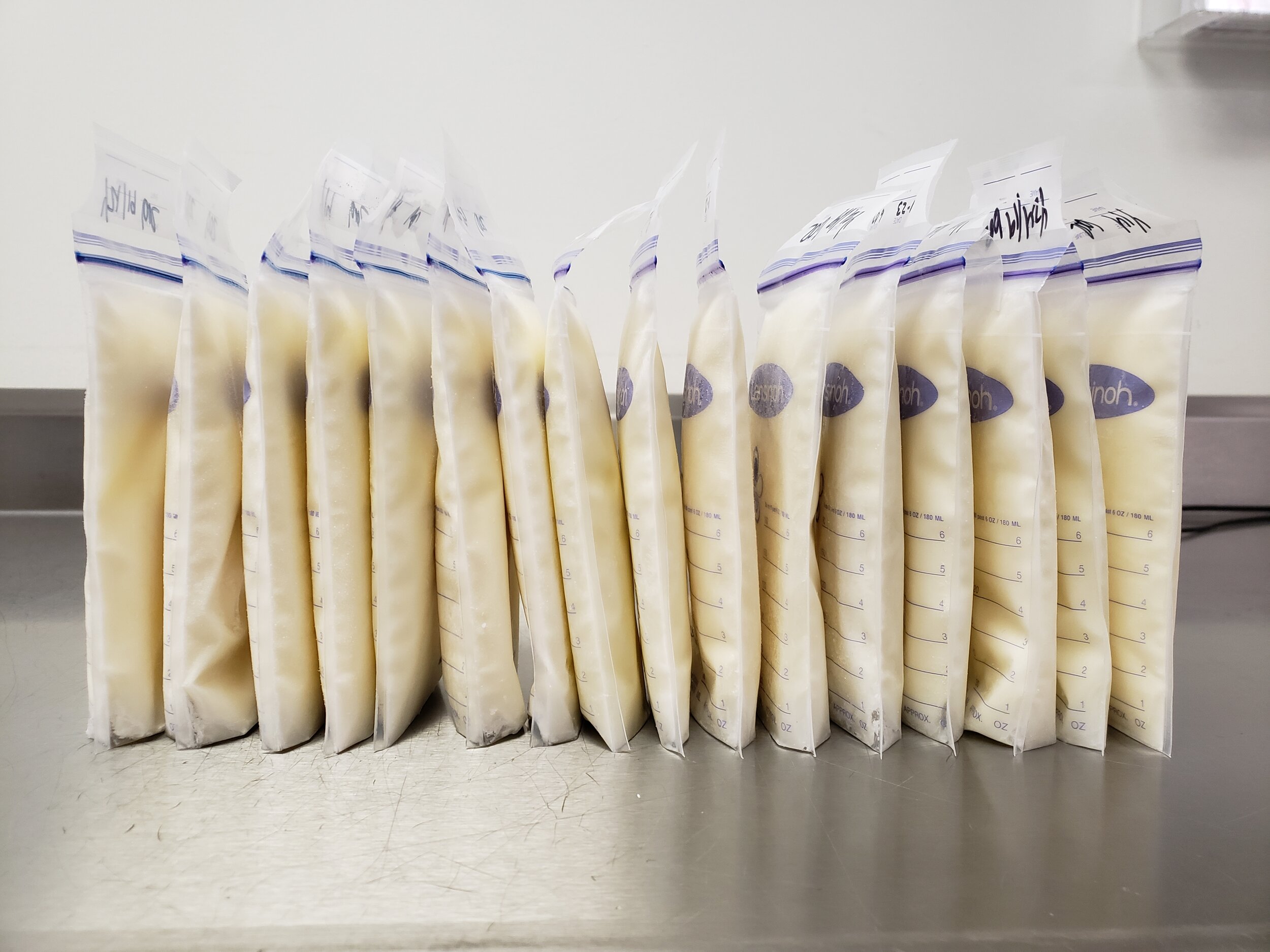 Standing Milk Bags.jpg