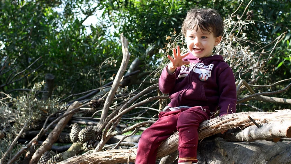 N sitting on Tree.jpg