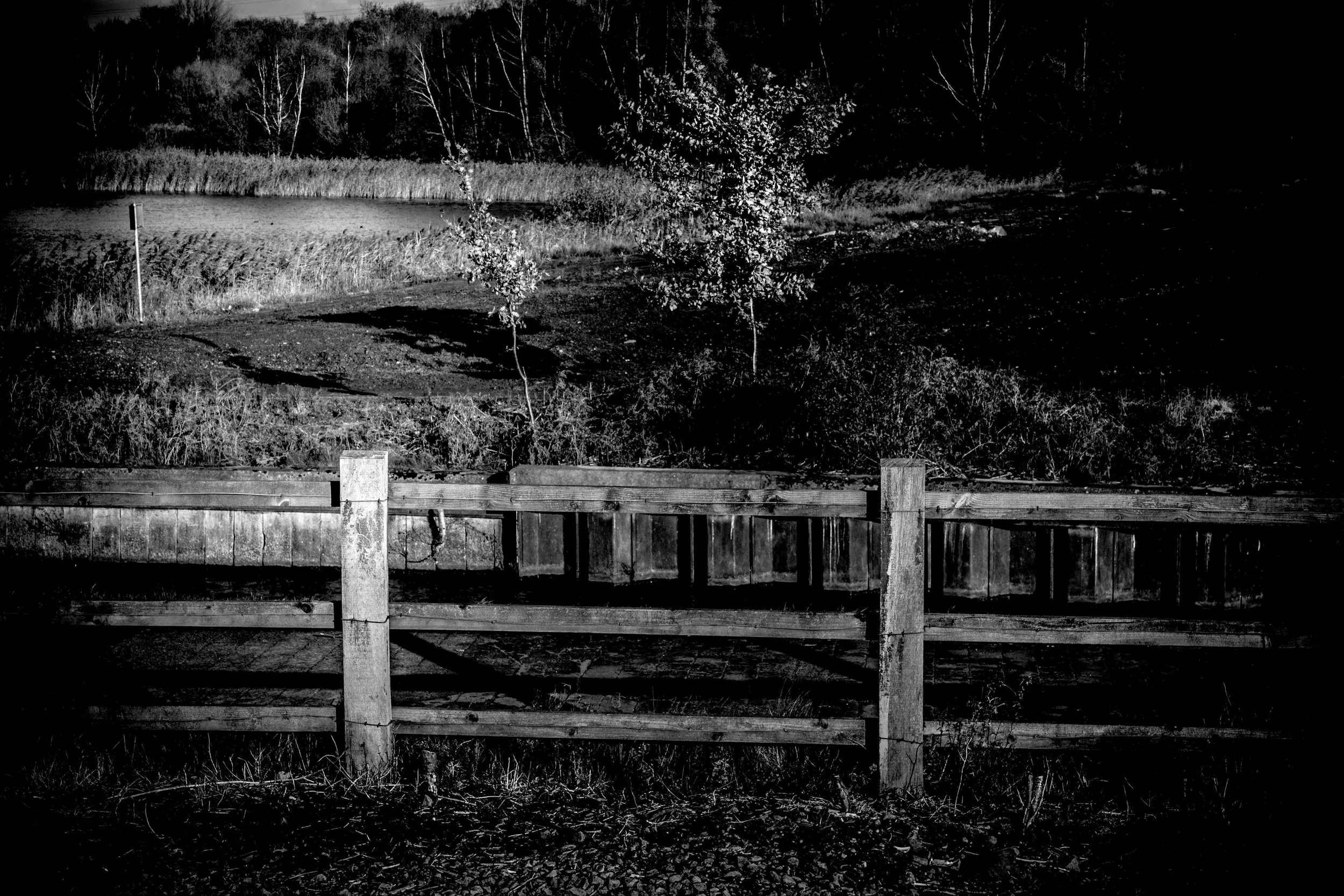 1 B@W canal side.JPG