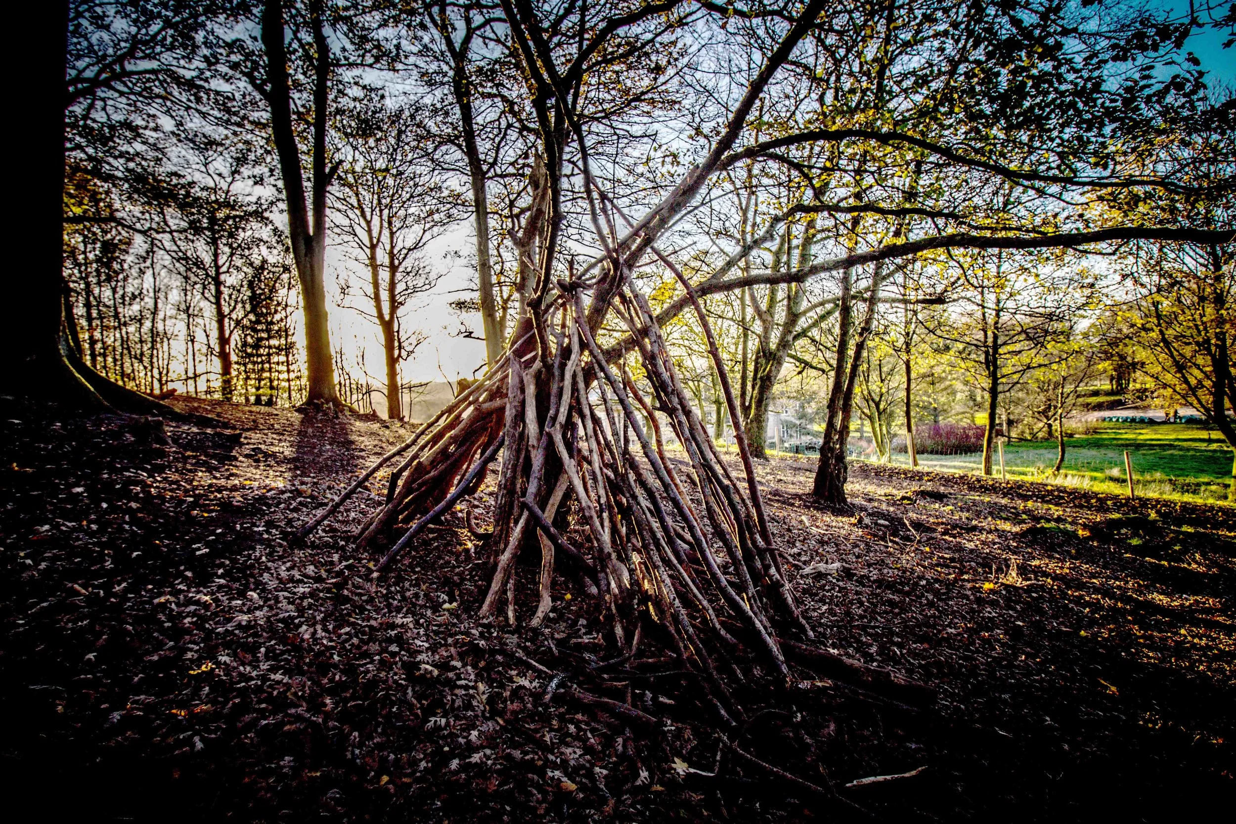 10 stacked trees.JPG