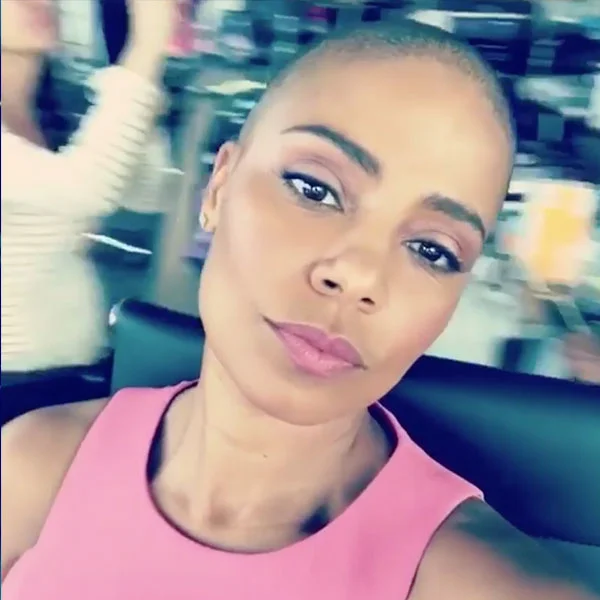 sanaa-lathan-shaved-head-nappily-ever-after-role-hair-transformation.jpg