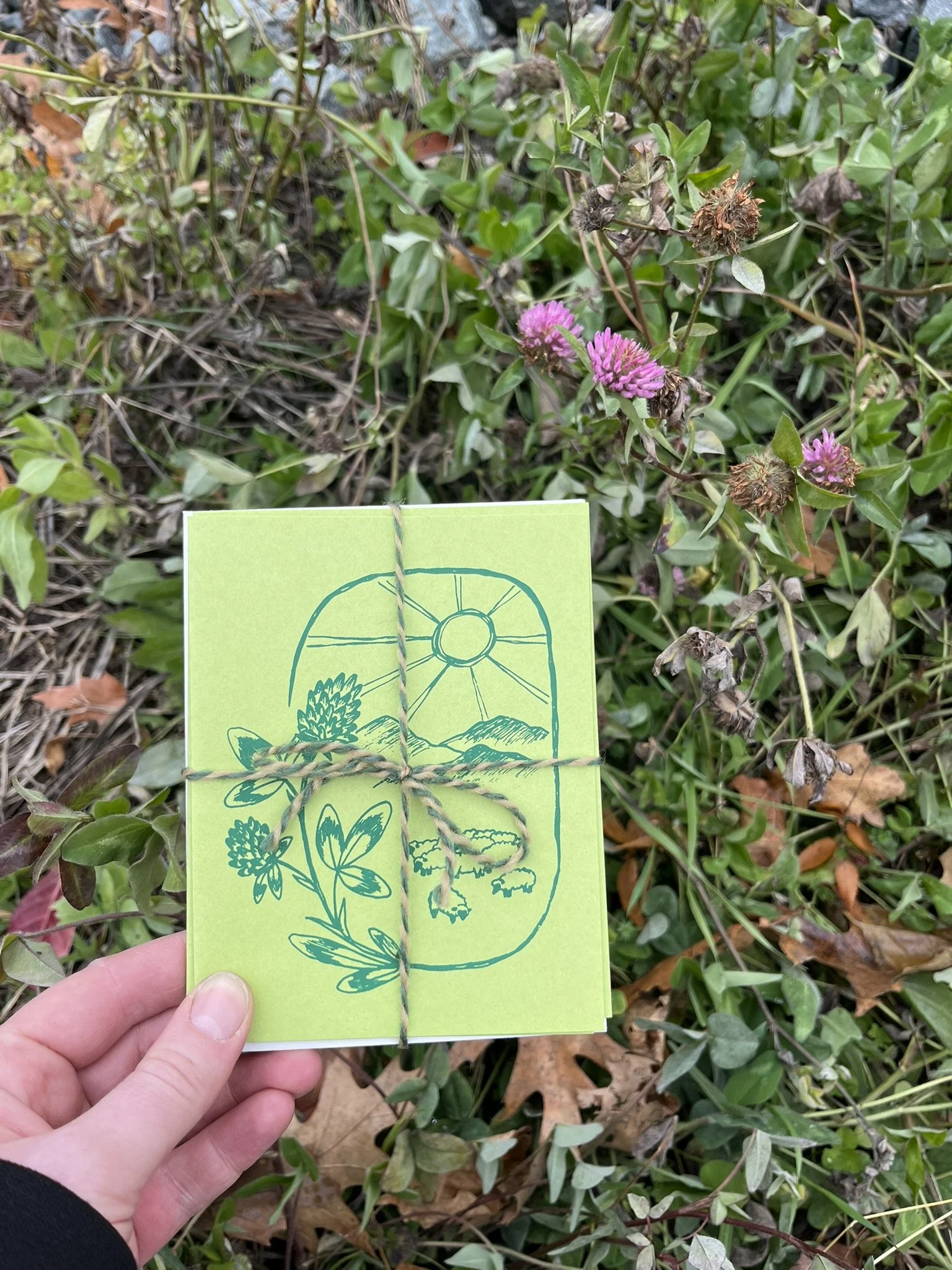 sheep card set photo.JPEG