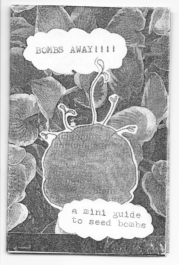 BOMBS AWAY!!!! a mini guide to seed bombs