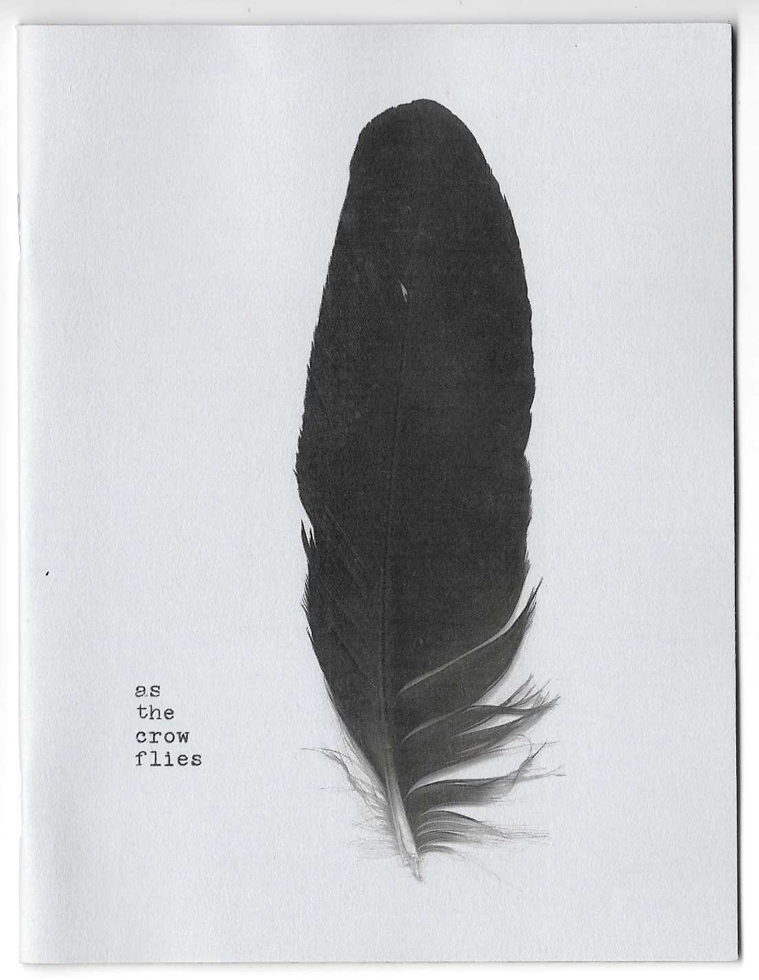 as the crow flies (zine version)