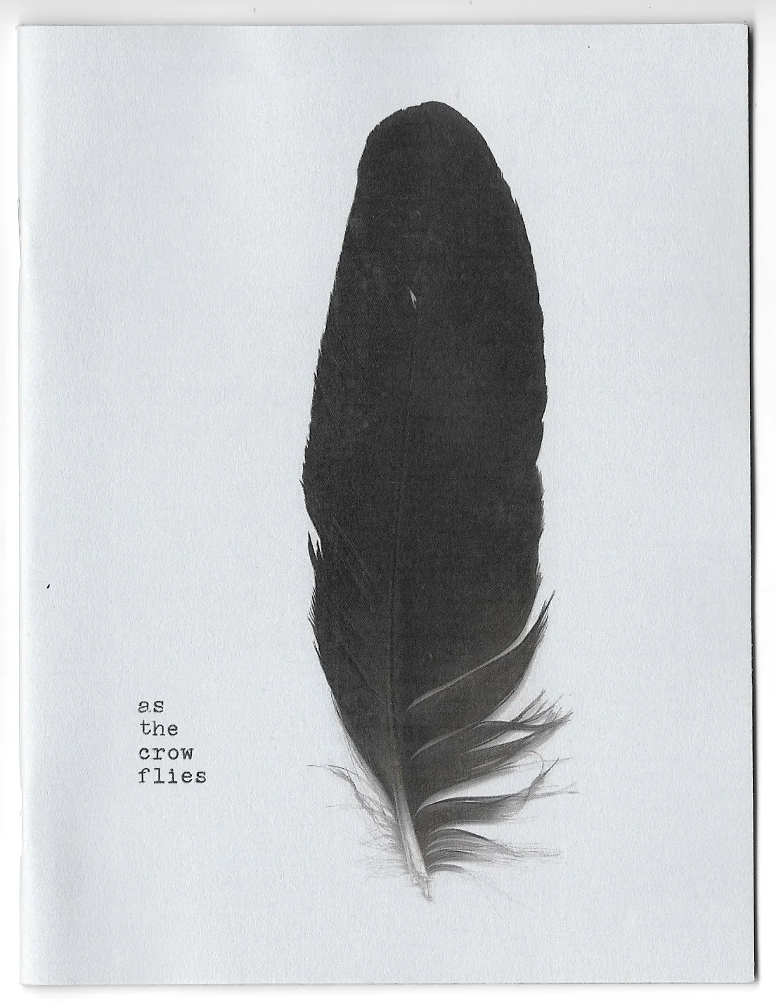 as the crow flies (zine version)