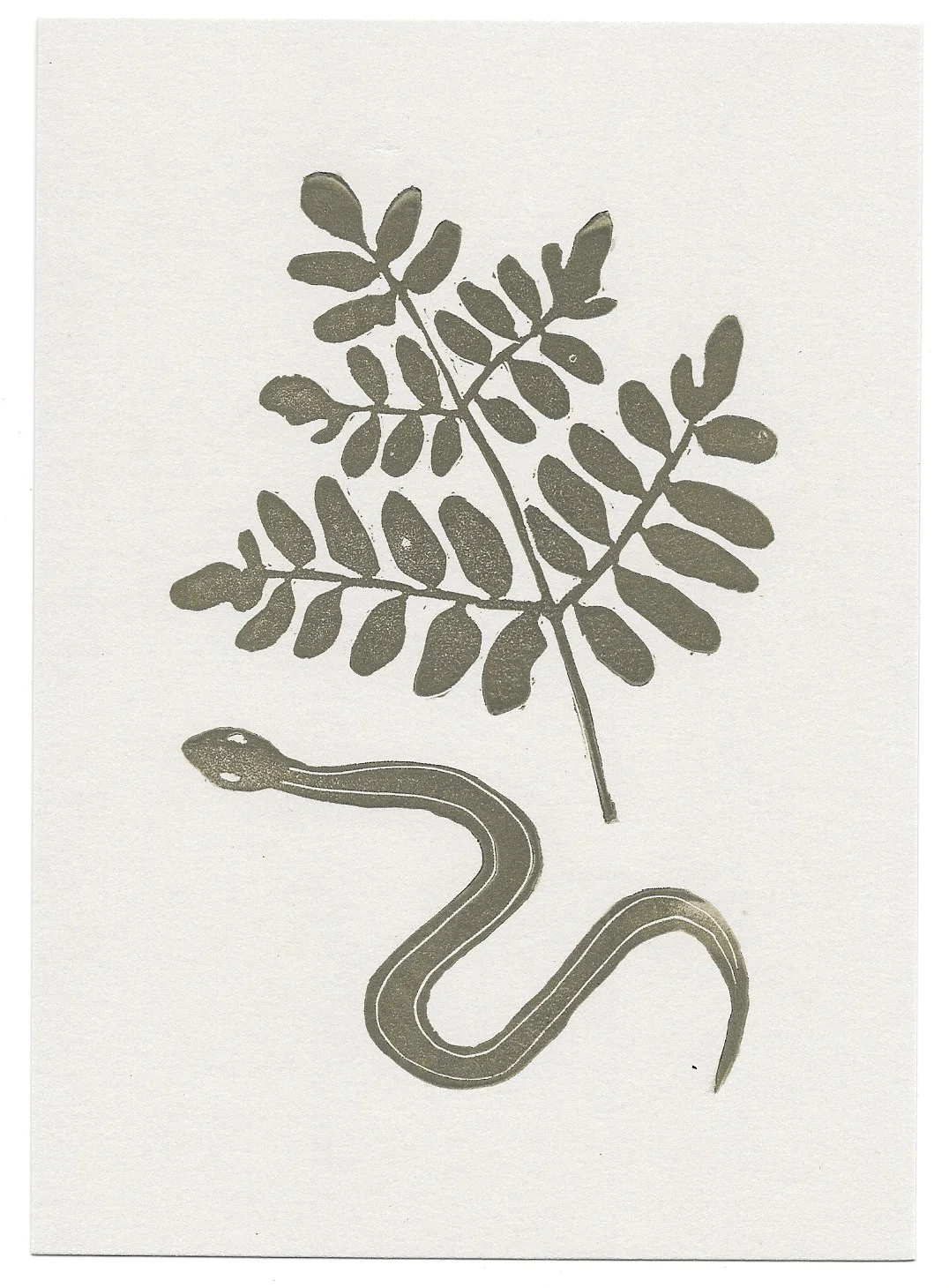 untitled (snake + royal fern)