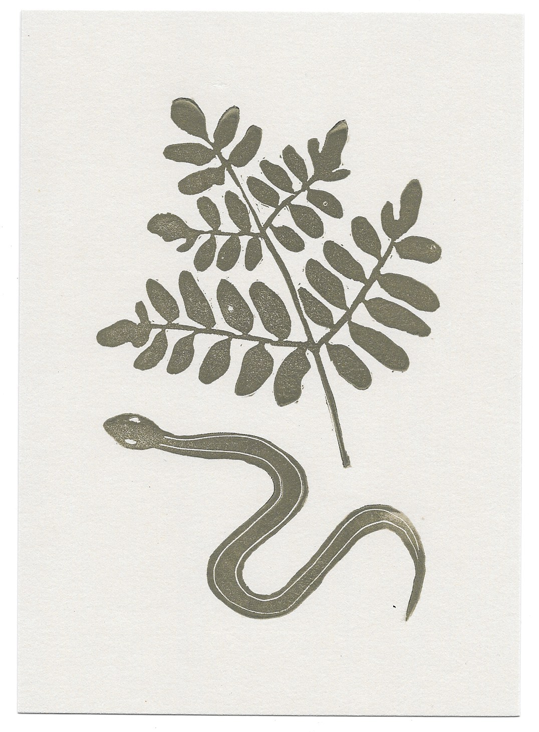 untitled (snake + royal fern)