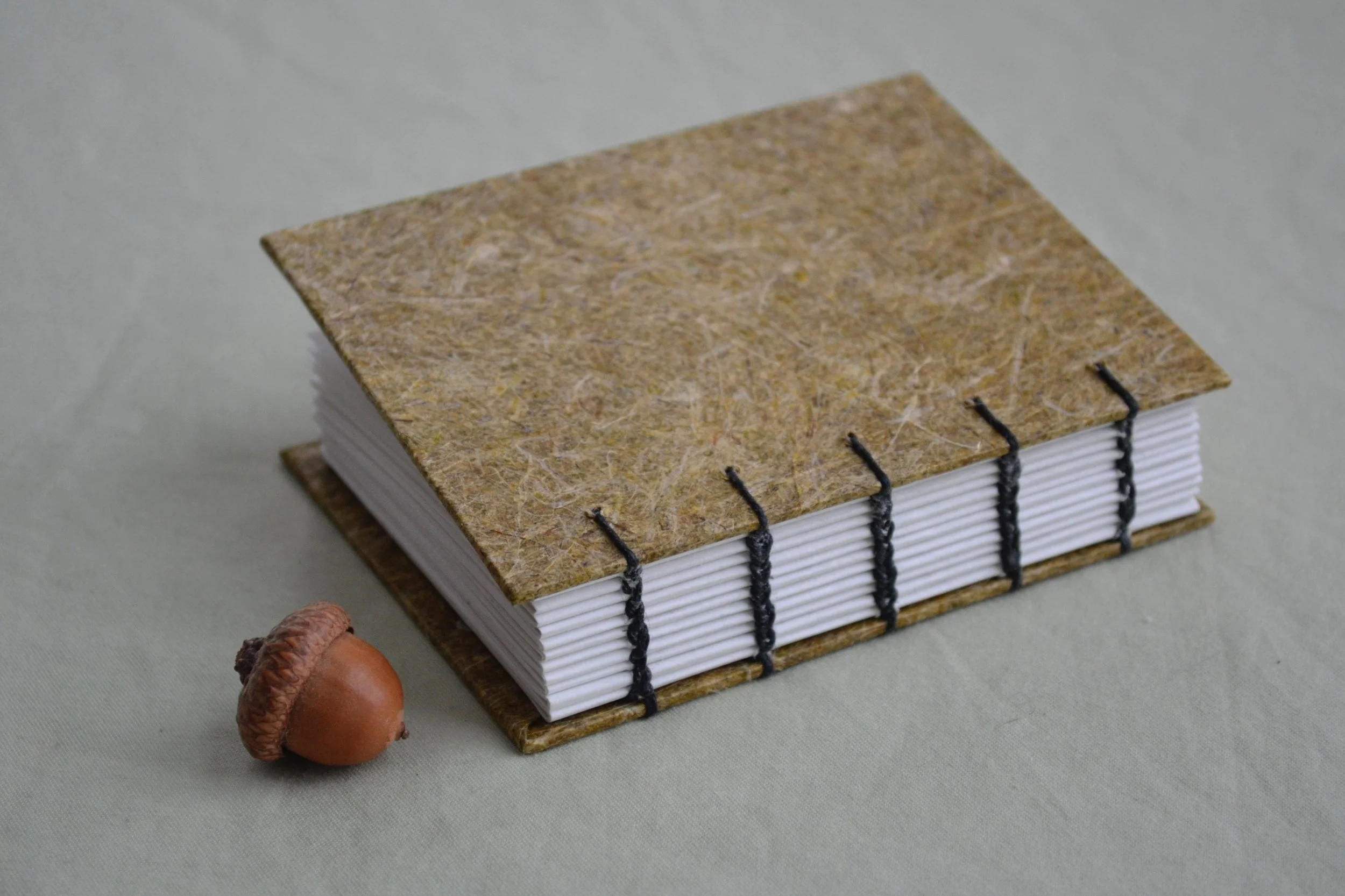 tiny daylily journal