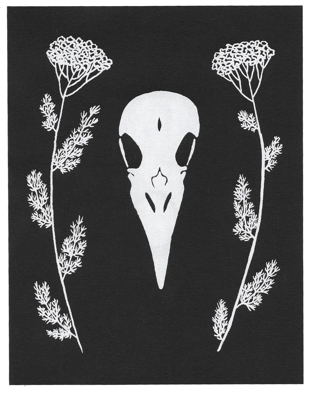 omens (crow skull + yarrow)