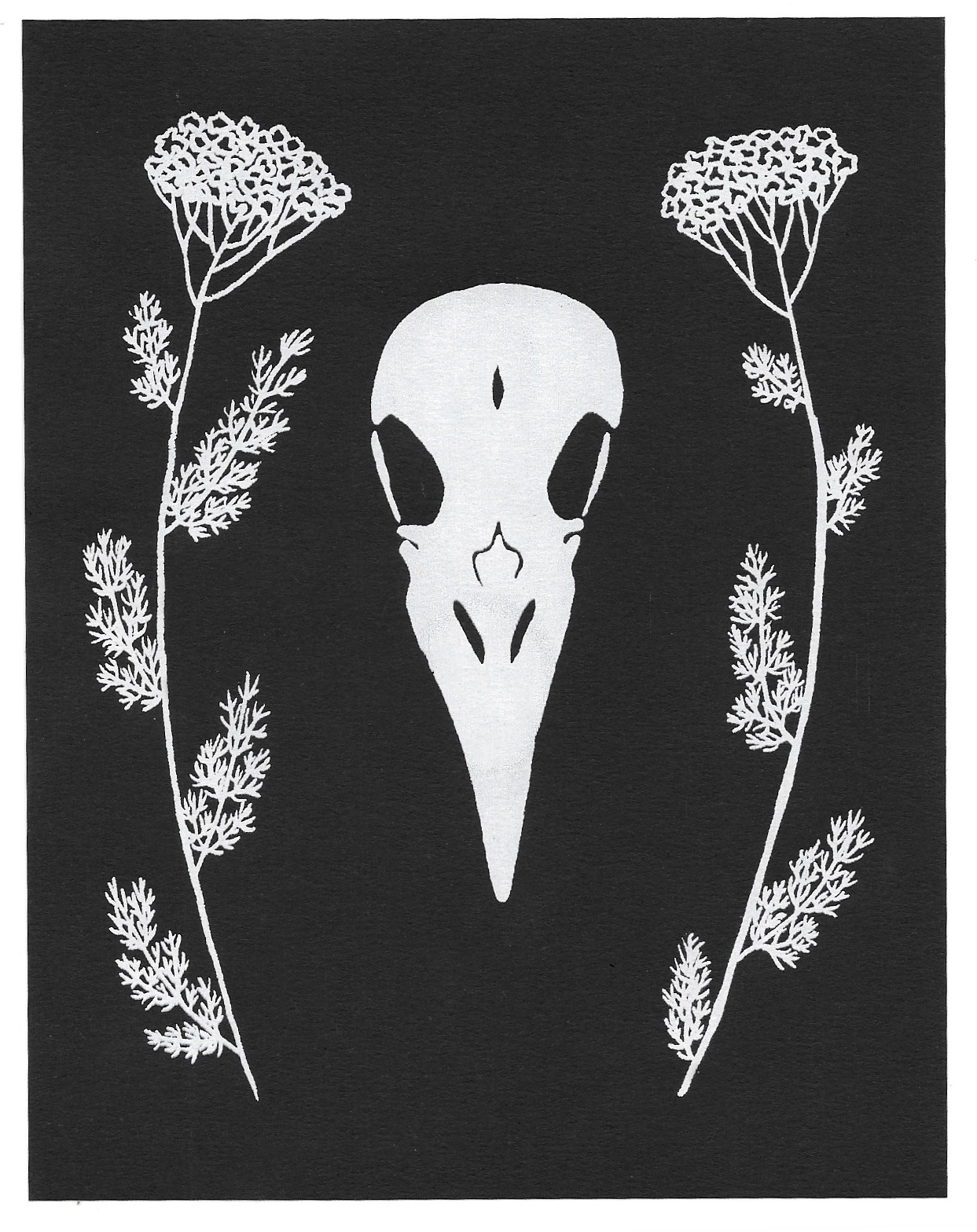 omens (crow skull + yarrow)