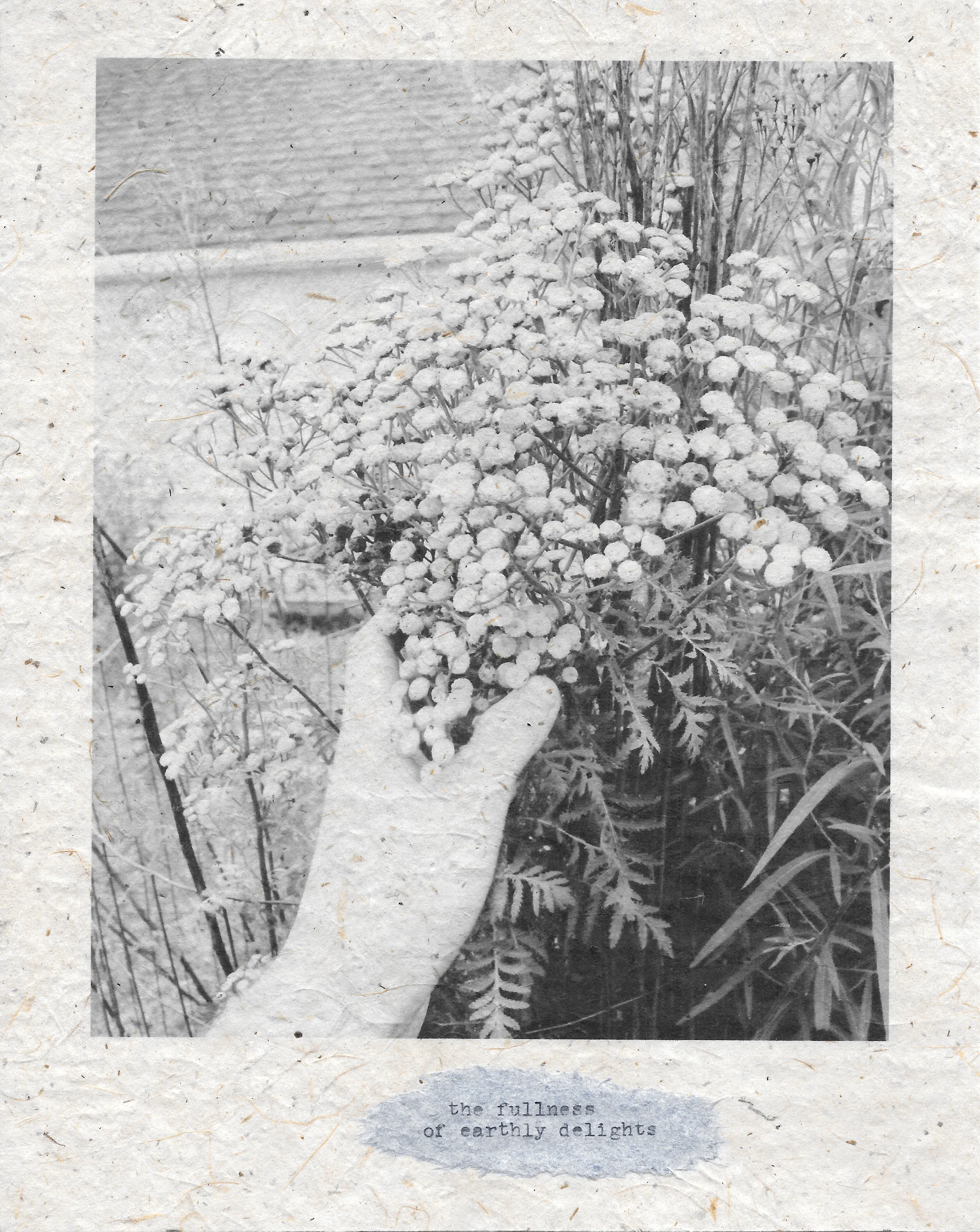 the fullness of earthly delights