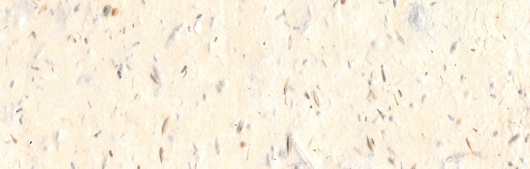 SEEDPAPERtexture+copy.jpg