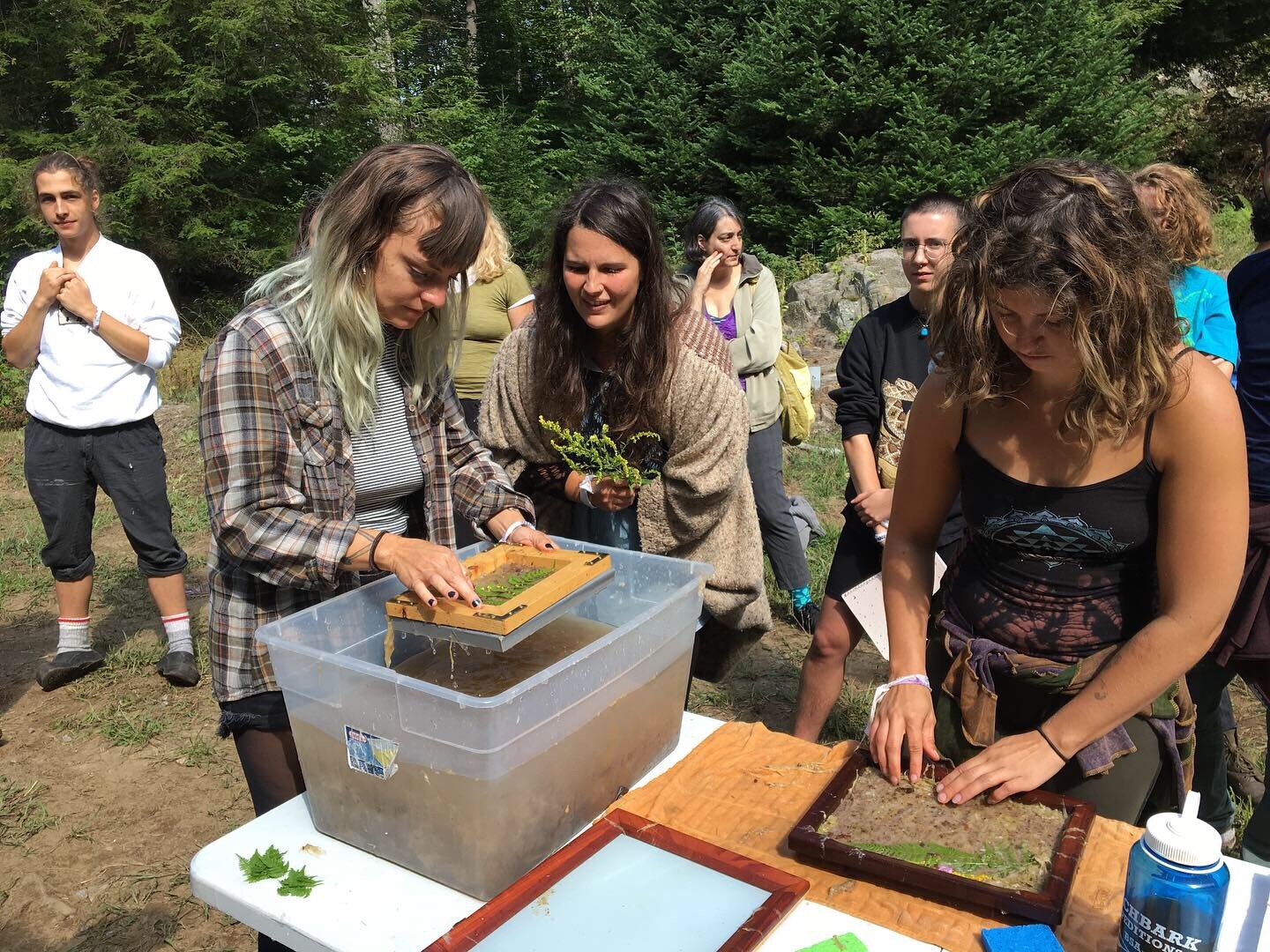 Papermaking with Plants