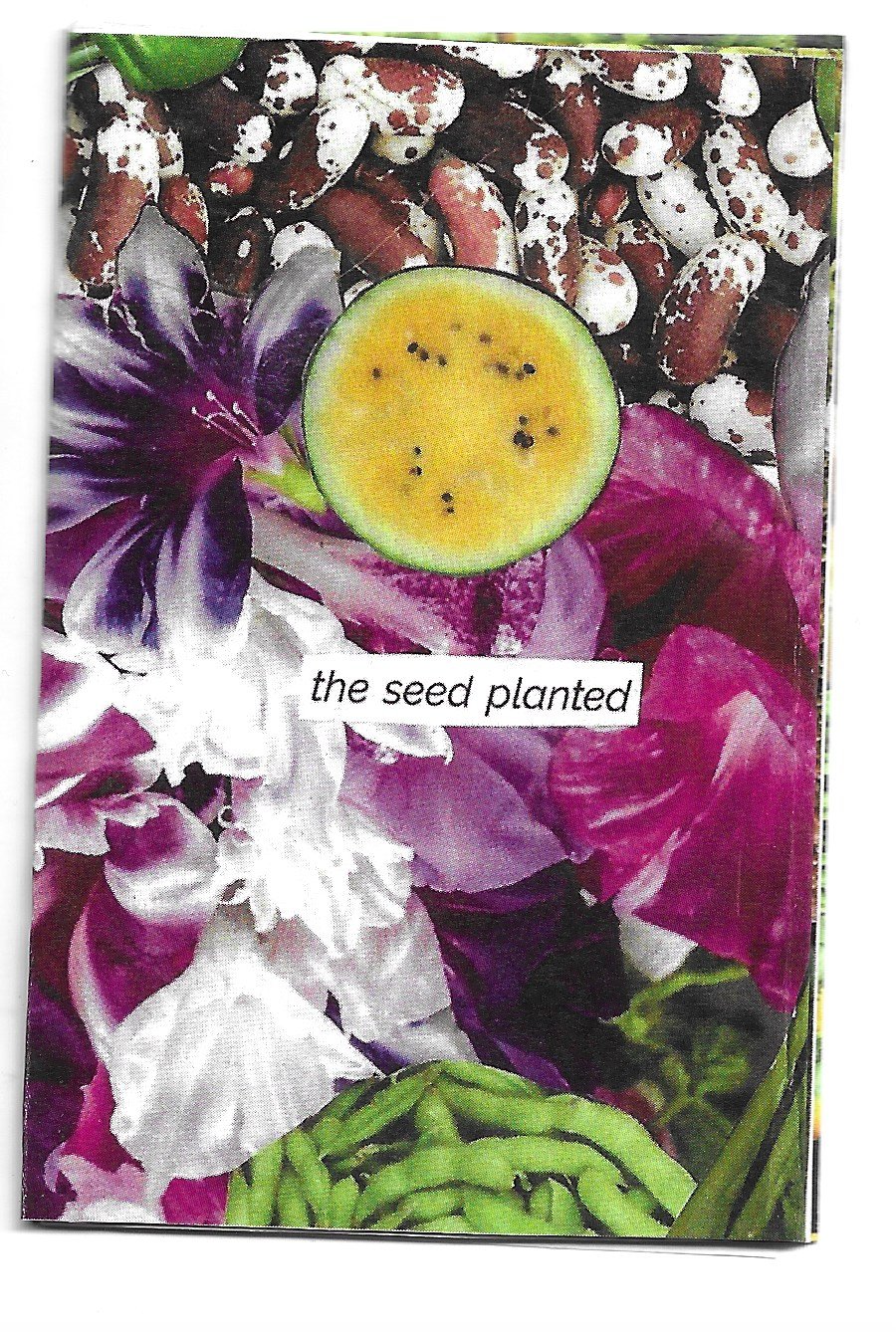 the seed planted