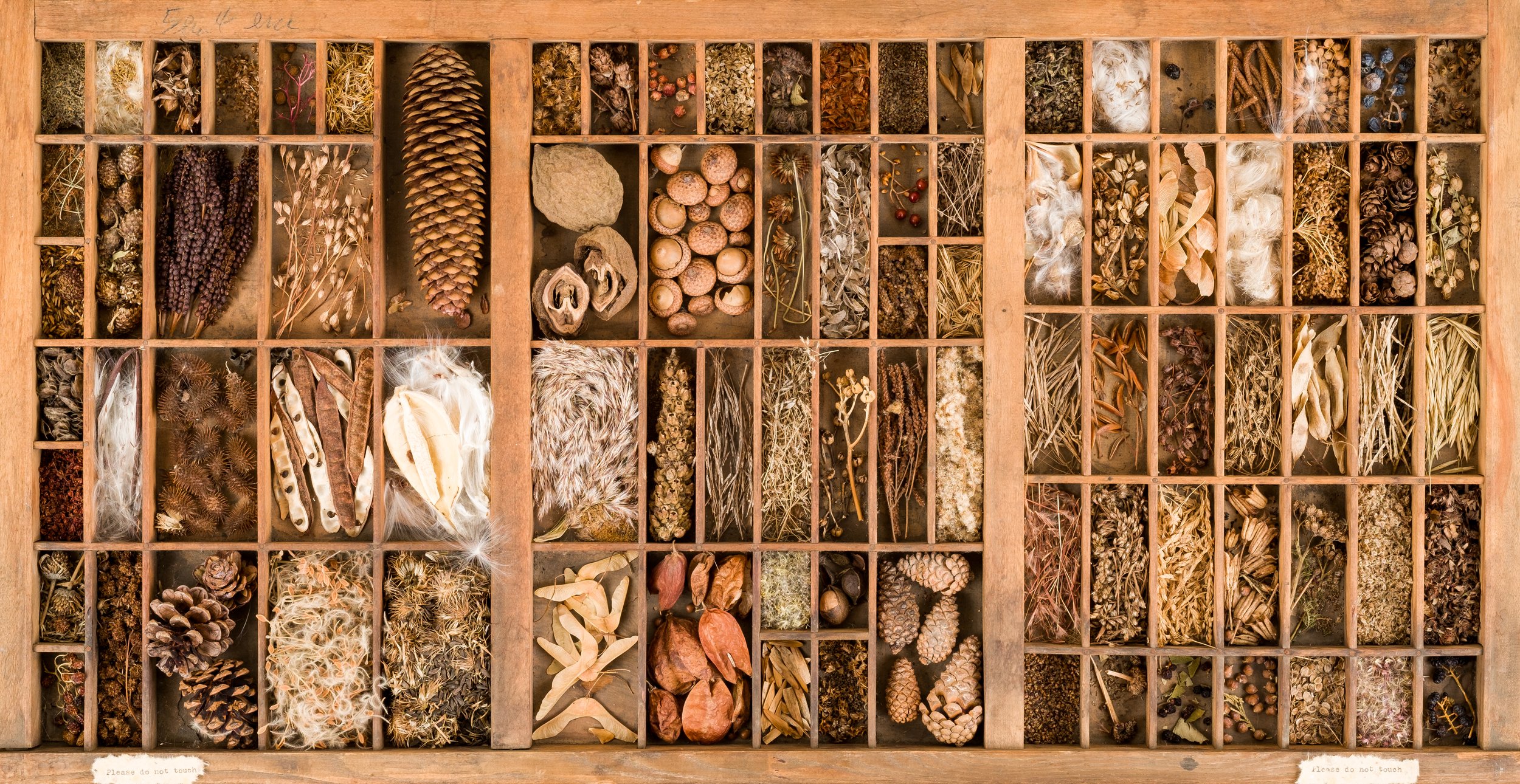 language of land (seed drawer, top view)