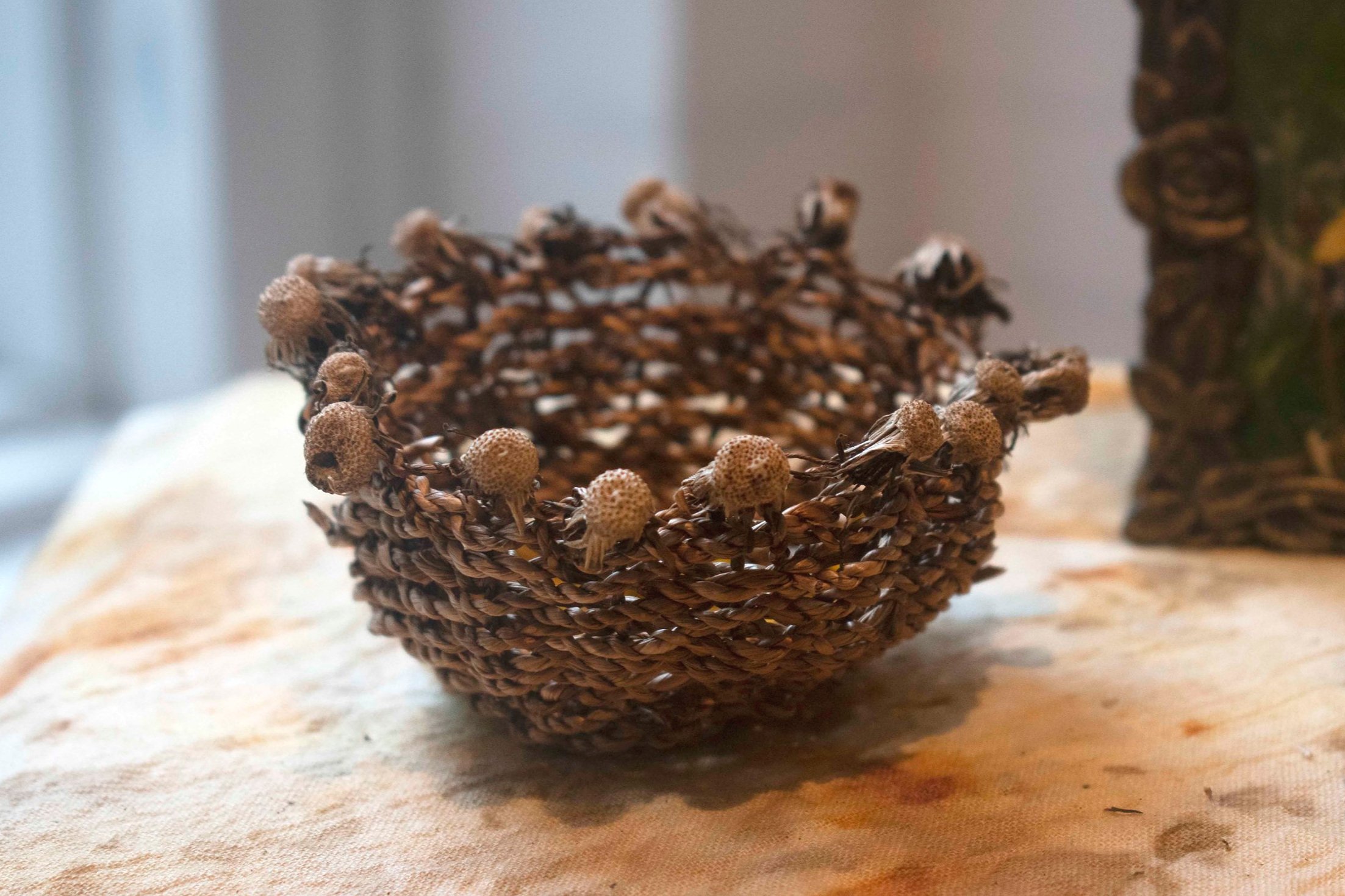 goldfinch altar (dandelion stem basket closeup)