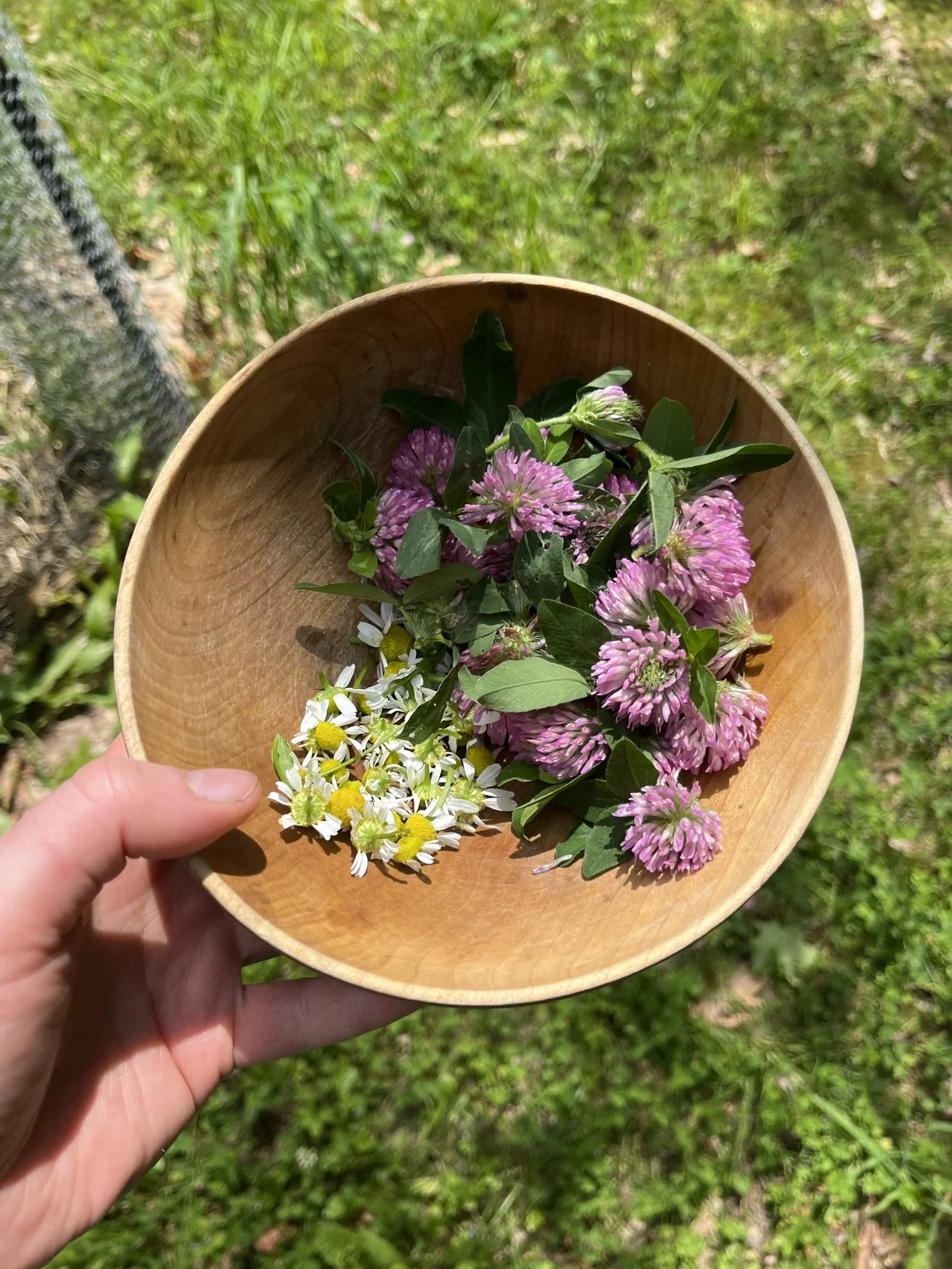 Railyard Apothecary Winter Holiday Market (Burlington, VT)