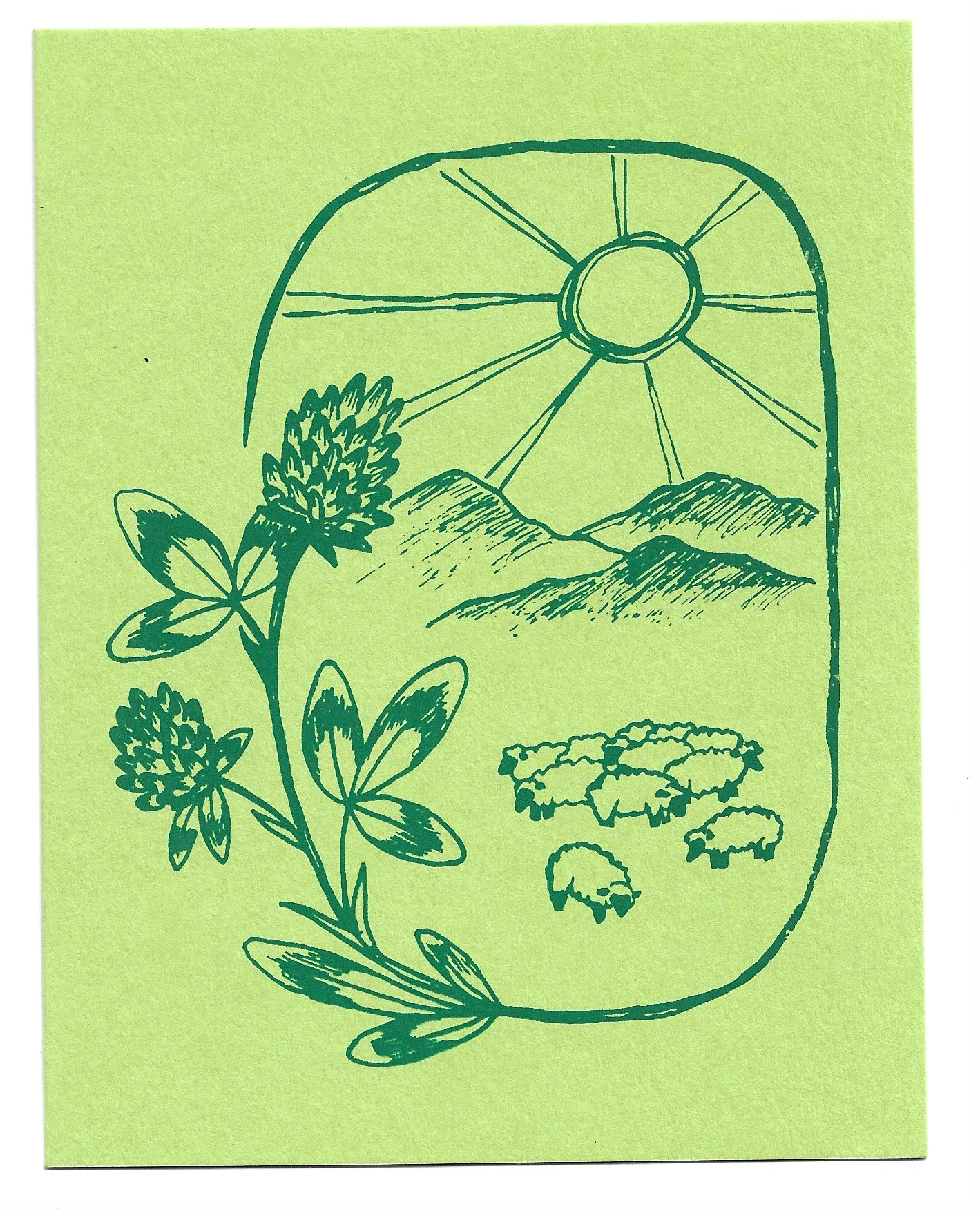 clover & sheep notecard
