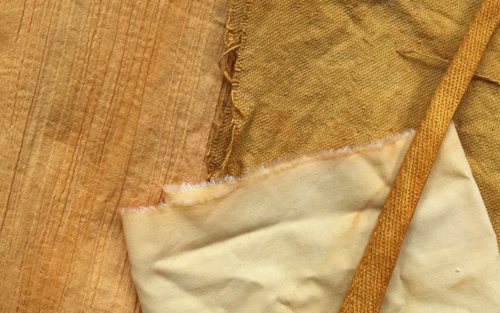 Natural Dyes from the Garden and Kitchen: Workshop at CraftStudies in White River Junction, VT