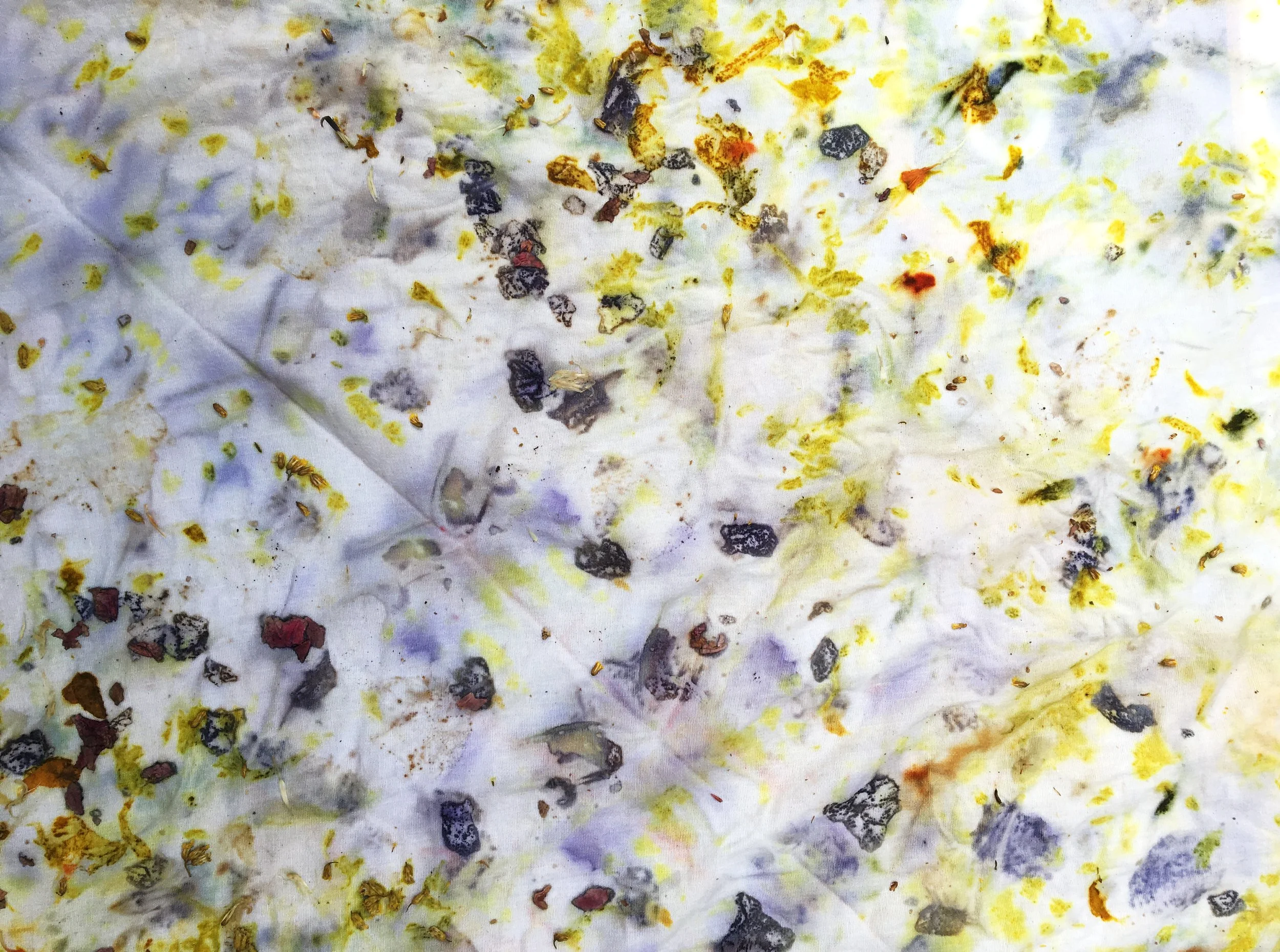 Community Natural Dye Bath (2-Part Workshop) at CraftStudies, White River Junction, VT