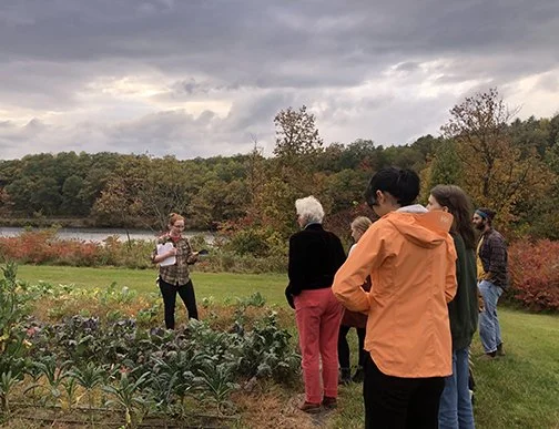 Harvest for Color: Workshop at the Dartmouth Organic Farm, Hanover, NH