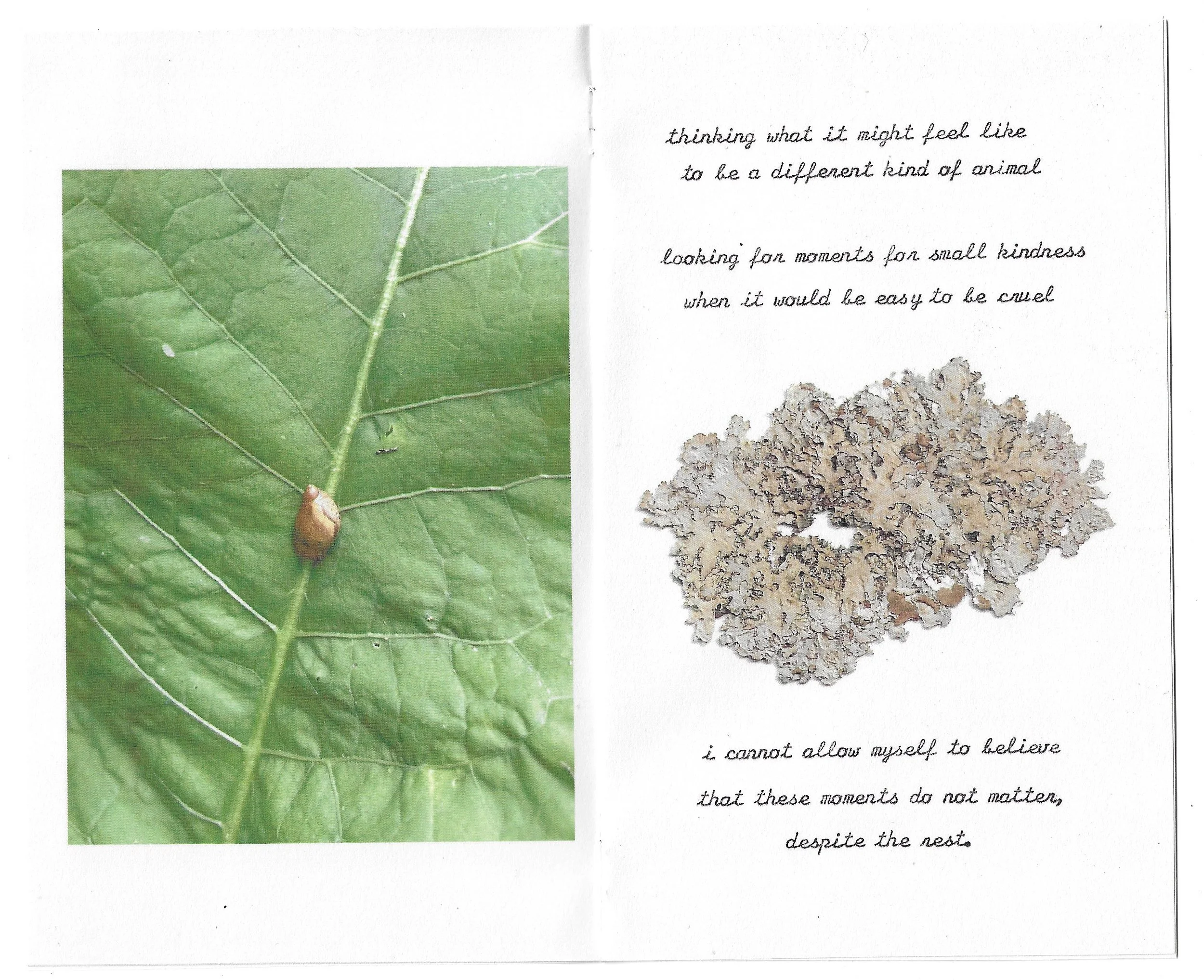 beathnua zine page spread.jpeg