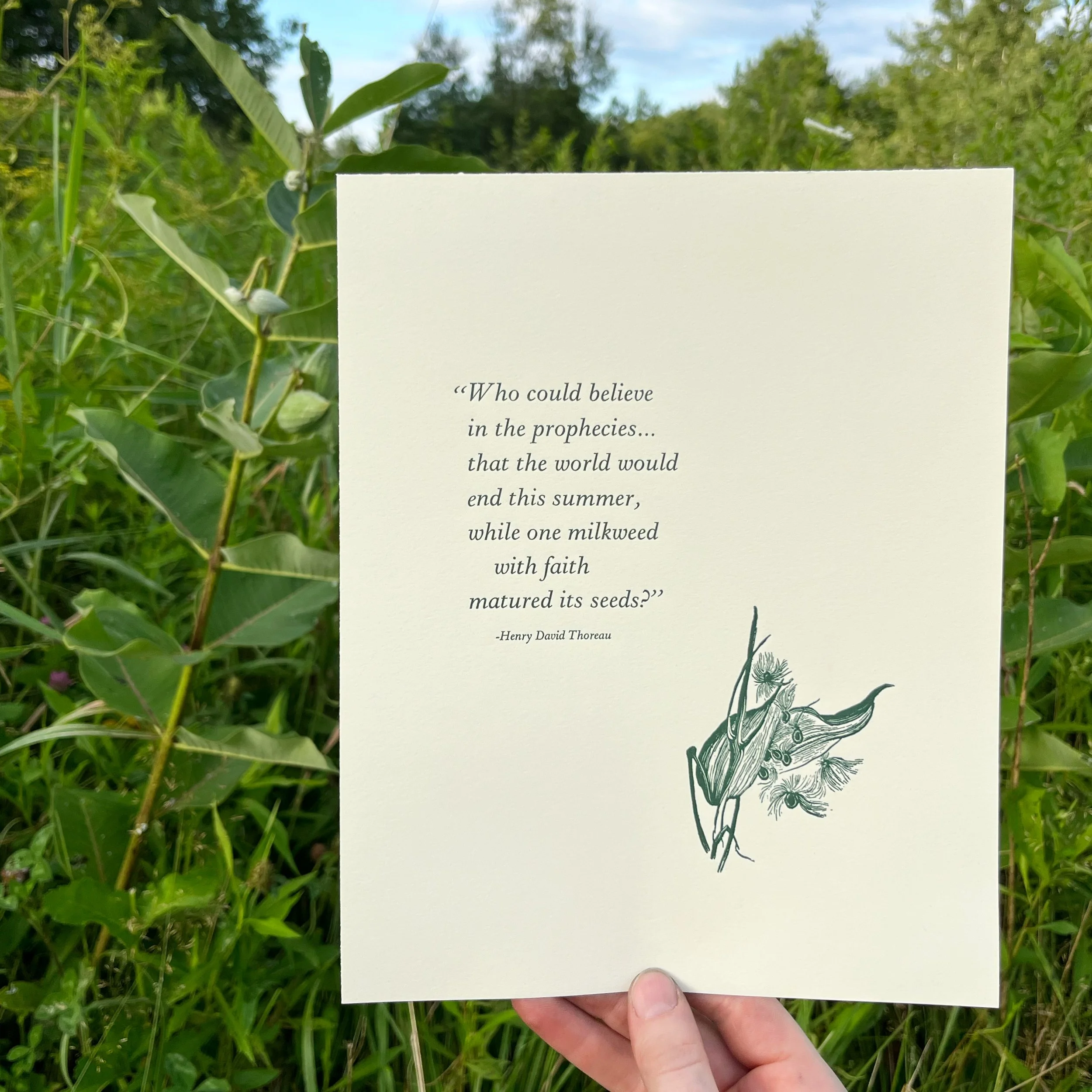 thoreau milkweed print.jpg