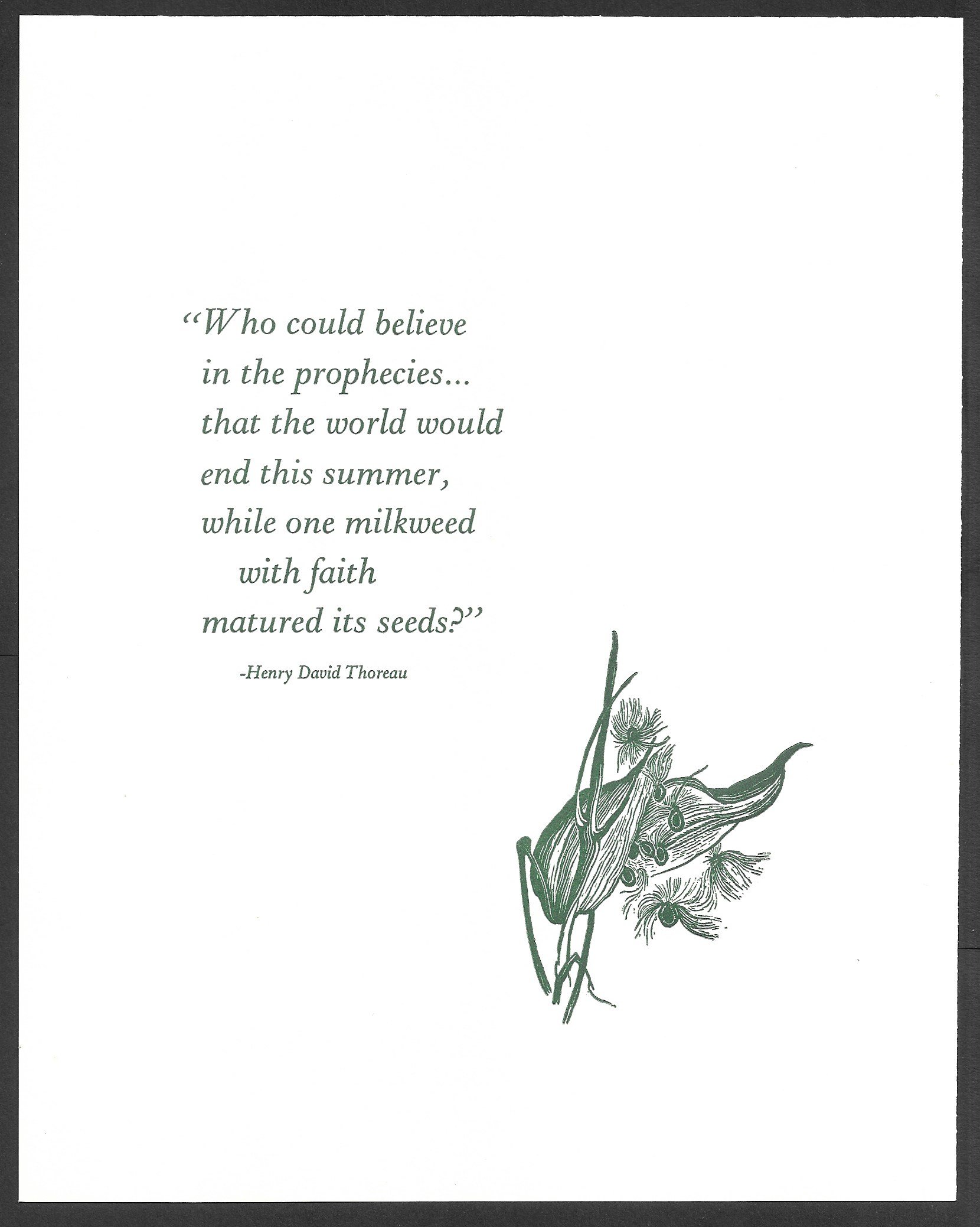 thoreau milkweed letterpress print.jpeg