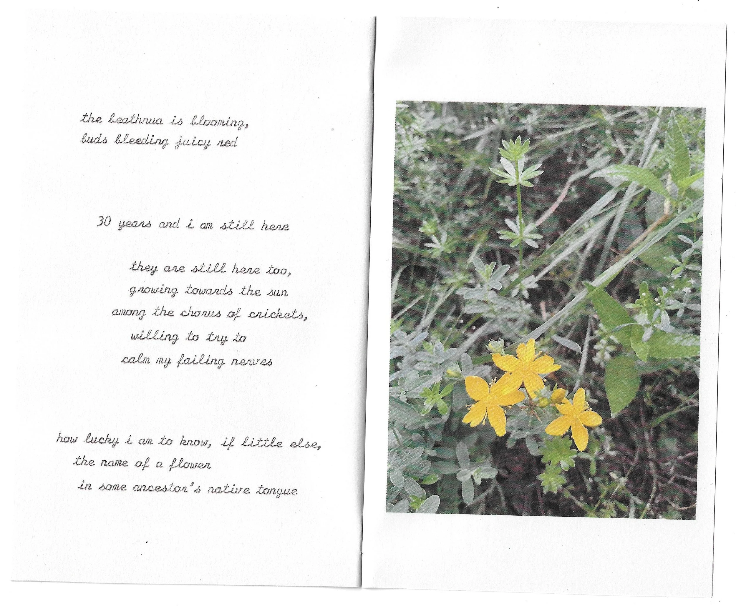 beathnua zine page spread 1.jpeg