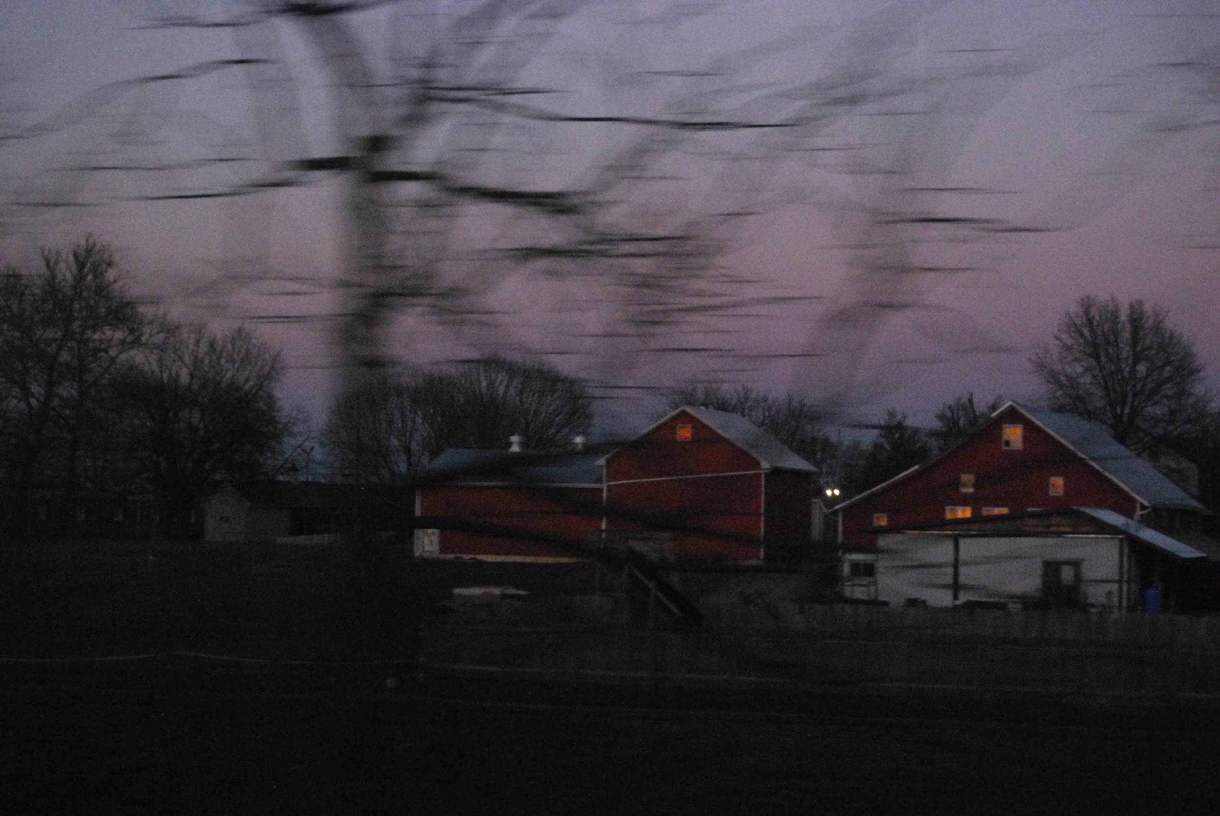 photos from seat 17 1.JPG