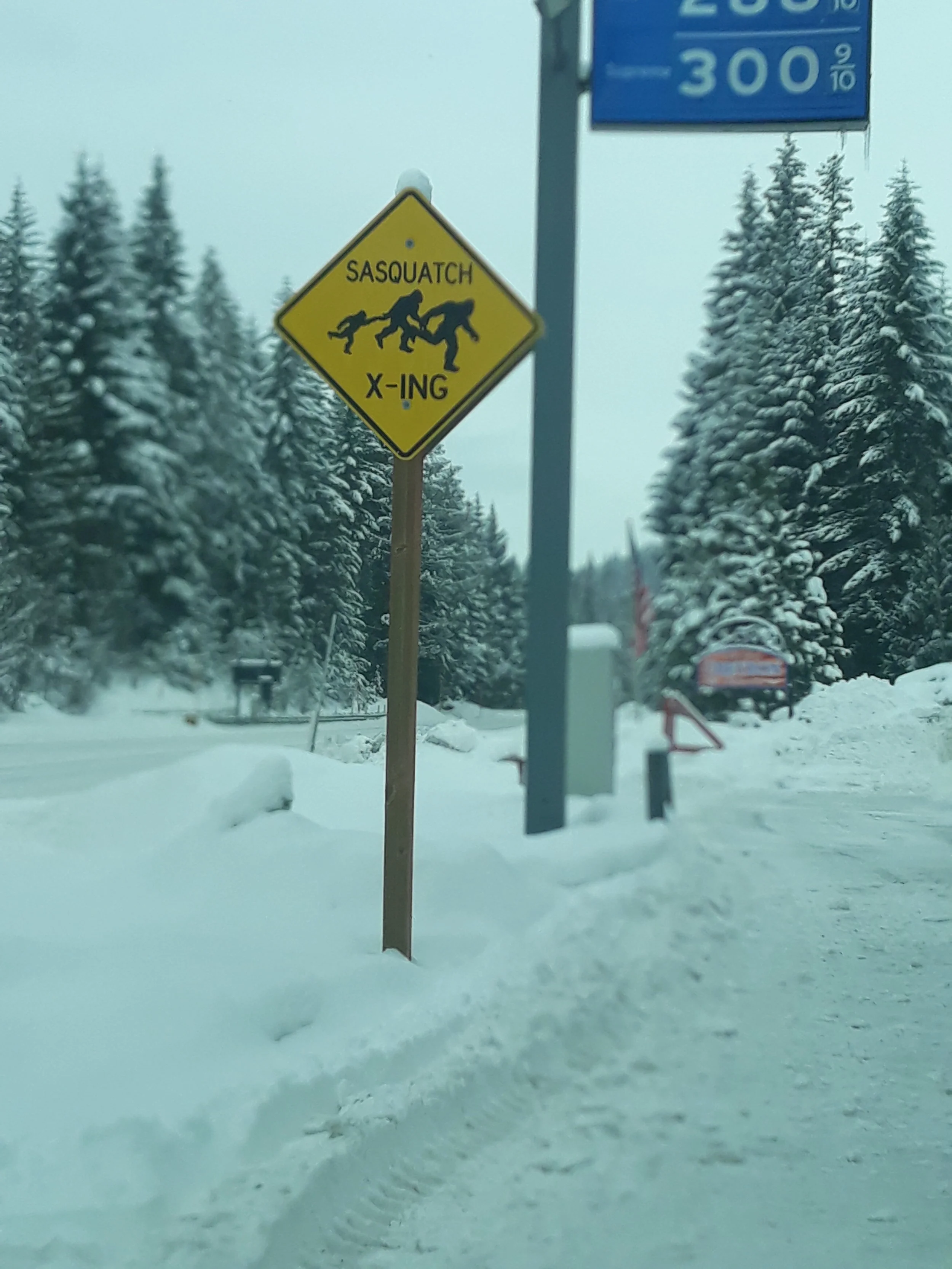 20190209_103234.jpg