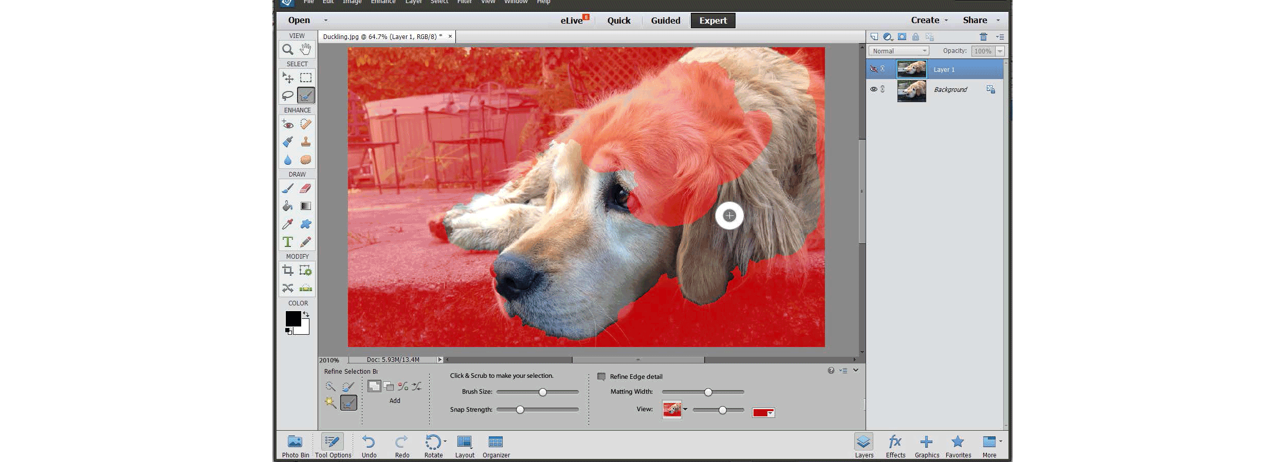  The interface of this new feature was extremely simple and smart. The tool recognized edges with finer details that required the refine edge tool &amp; the cursor changed automatically in such a region. ( Above , the workflow) 