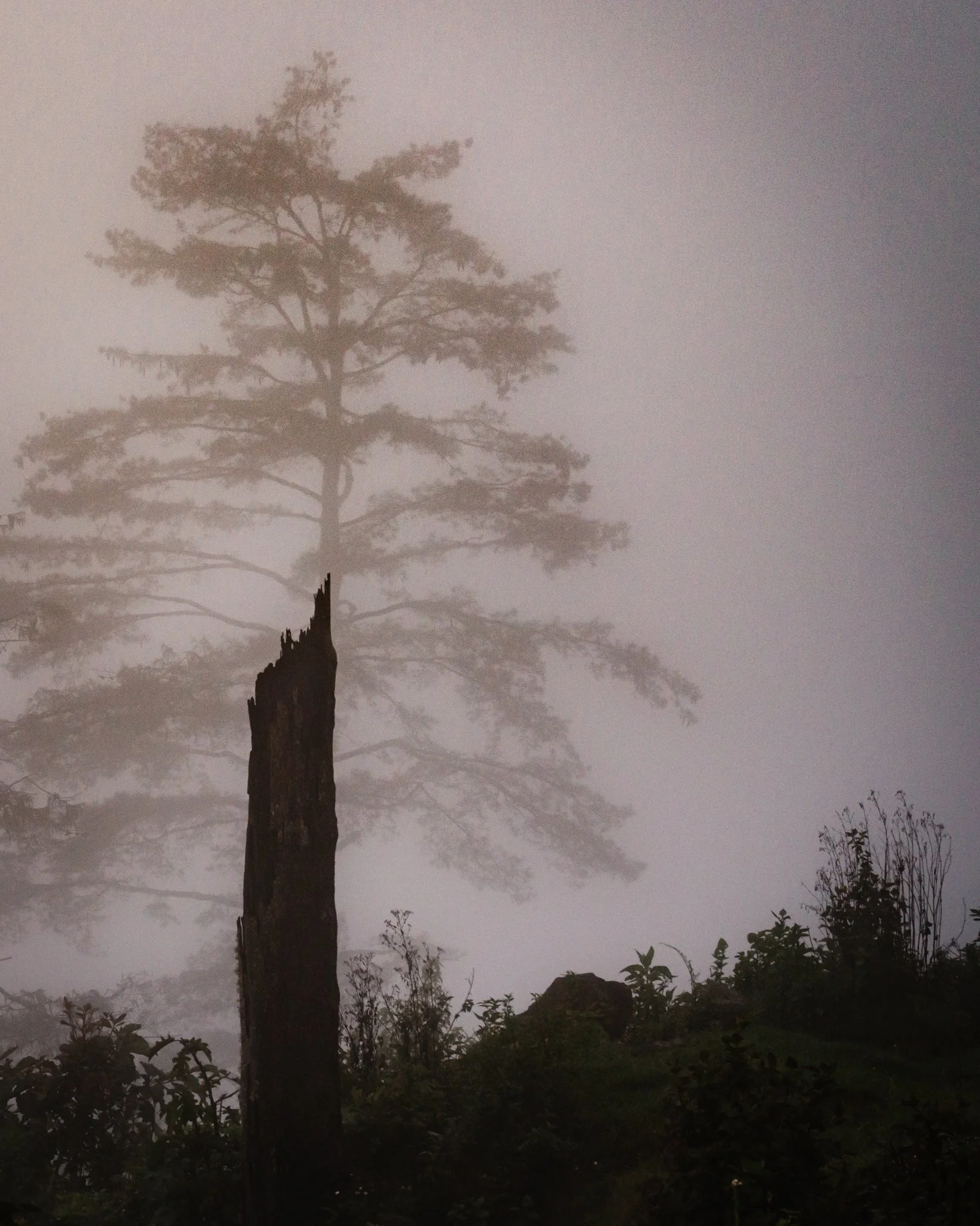 On The Verge of Silence-09.jpg