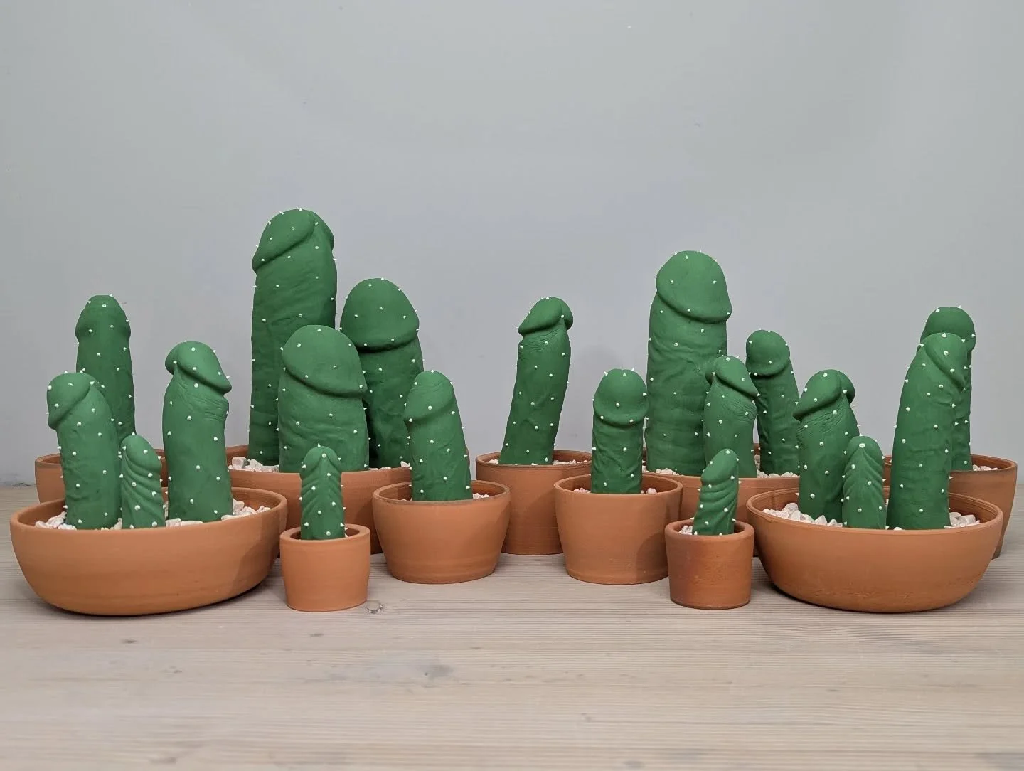 The first cocktus harvest of the year has just been brought in from the fields! 

I haven't made a batch of these since March of last year. There's a whole story behind the reason for that. I'll tell y'all all about it a little later. 

For now, enjo