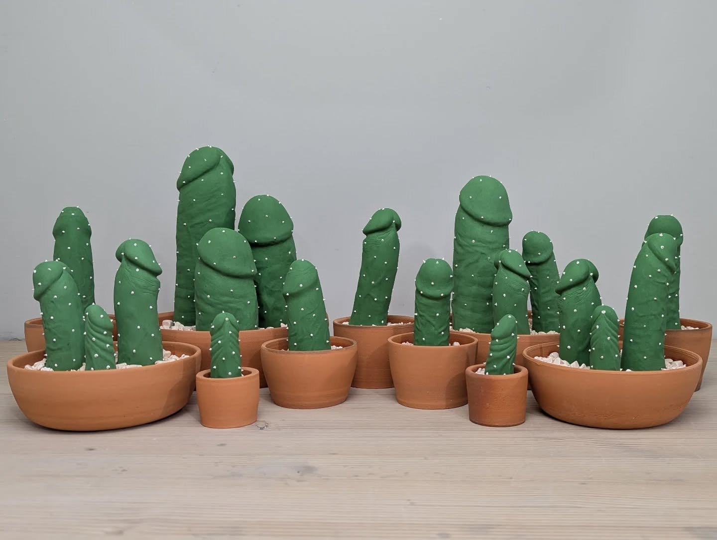 The first cocktus harvest of the year has just been brought in from the fields! 

I haven't made a batch of these since March of last year. There's a whole story behind the reason for that. I'll tell y'all all about it a little later. 

For now, enjo