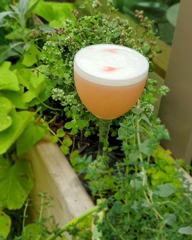 Catch summer before it&rsquo;s gone. We&rsquo;re at @ediejos tonight &amp; tomorrow behind the stick... Gin, strawberry, lemon, egg white, and bitters...
#gin #eggwhite #sours #cocktails #bkcocktails #brooklyn #ediejos #strawberry #summerdranks #summ