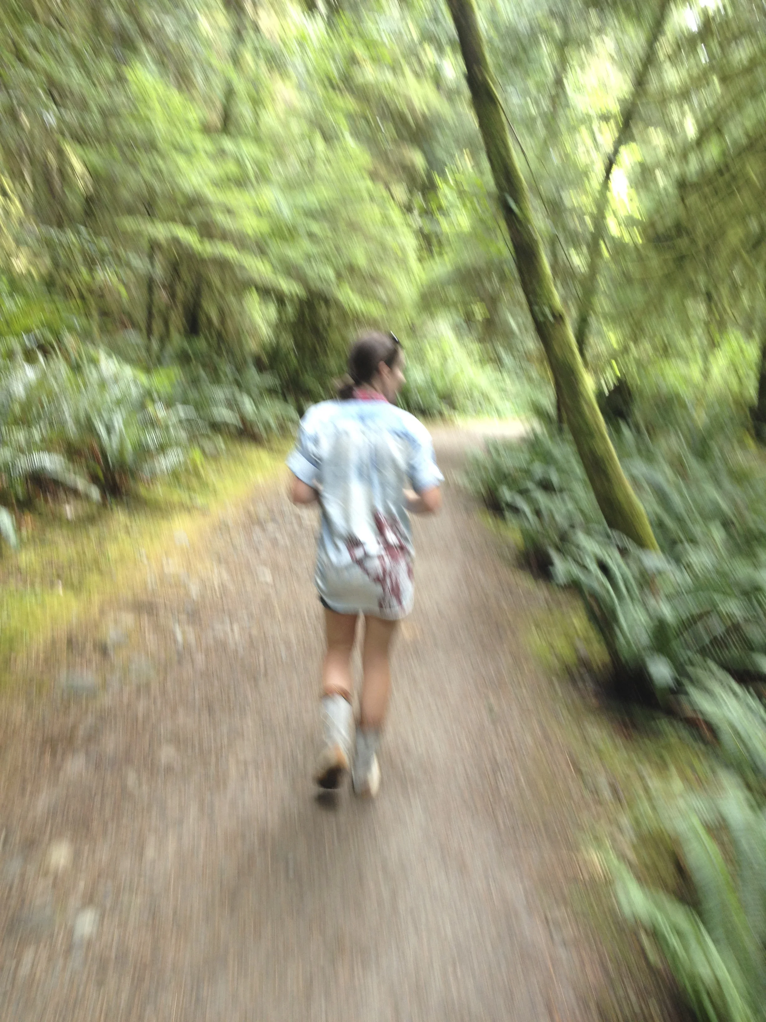 blurrywoods.jpg