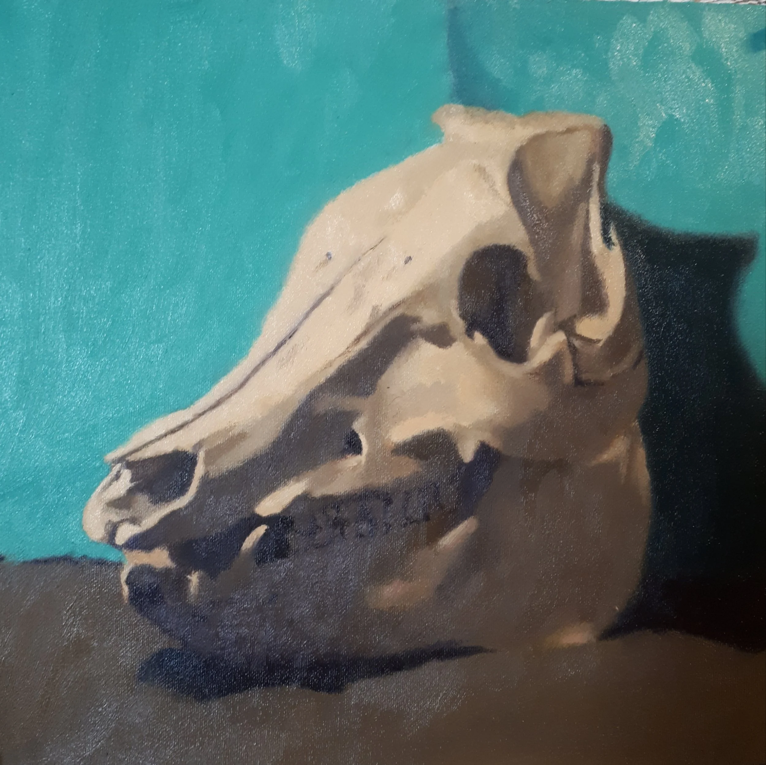 Skull