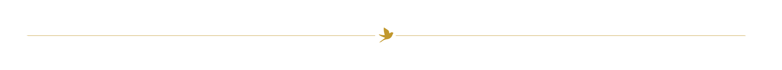 bird line.png