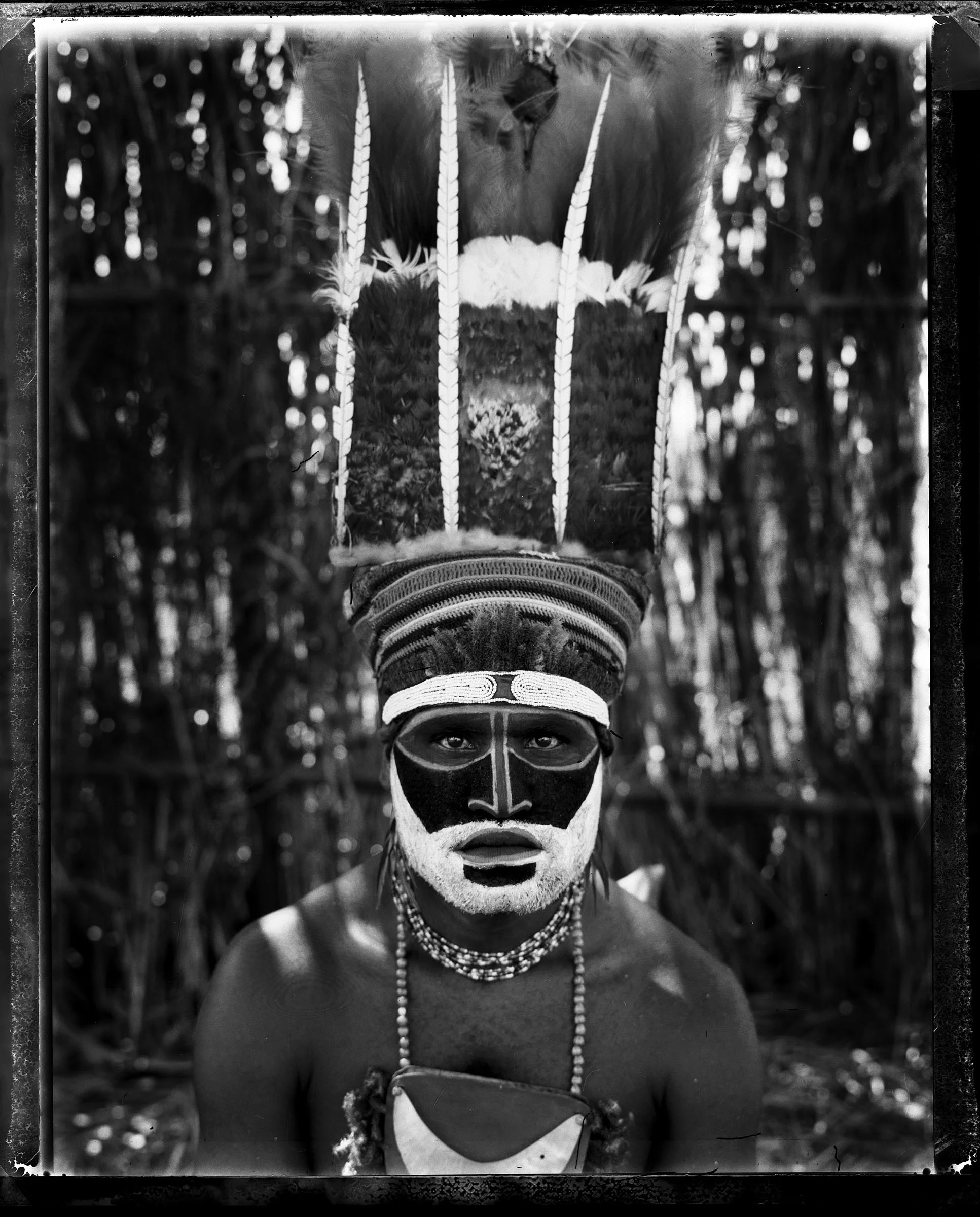 Piksa Niugini