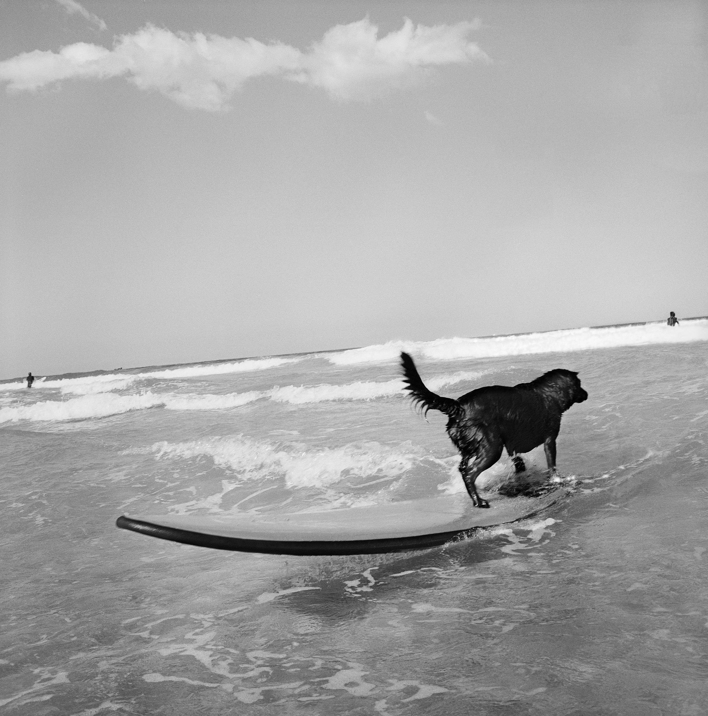 ©Stephen Dupont - Black Dog Surfing #12_Book.jpg